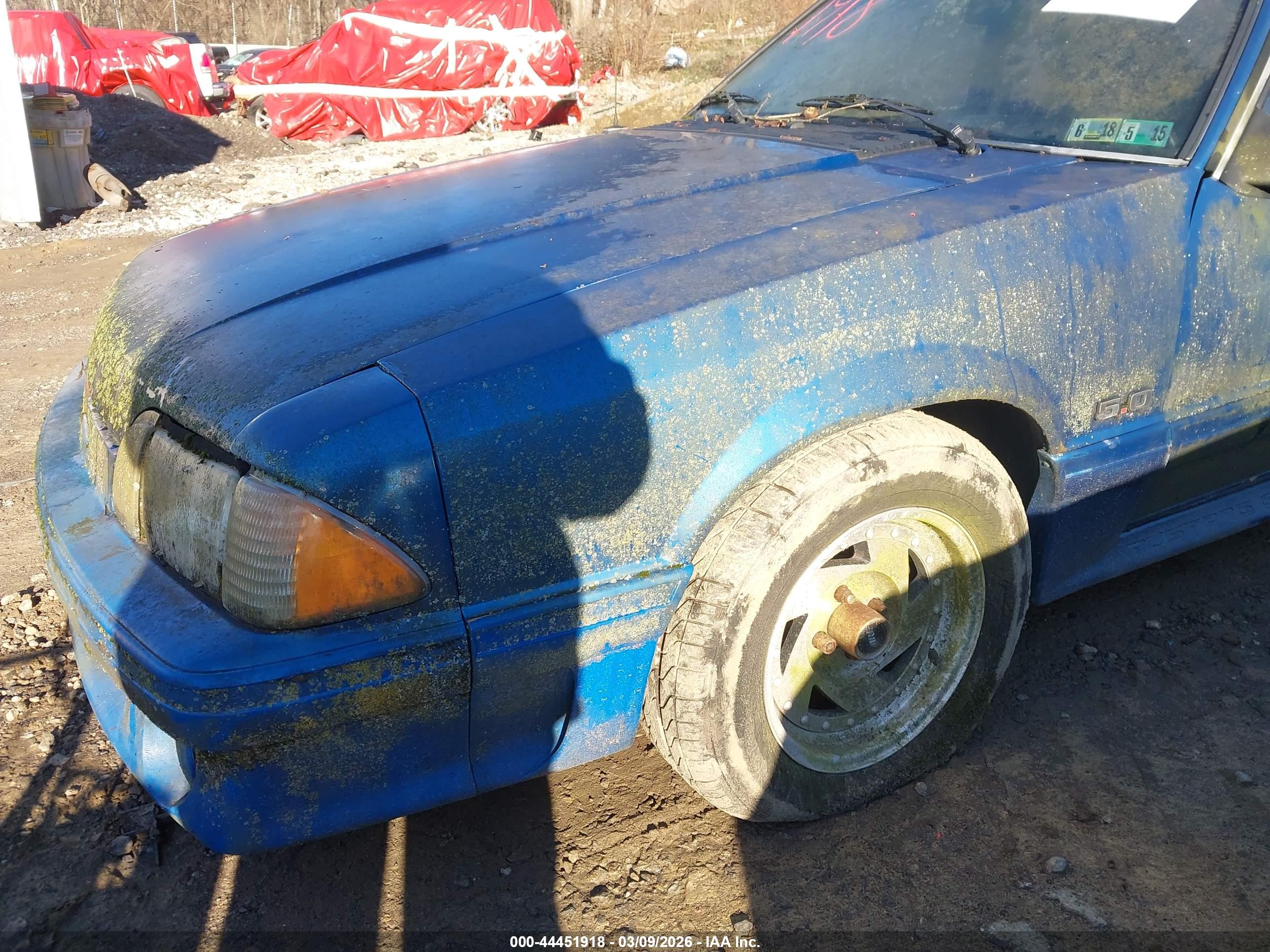 FORD MUSTANG image 6