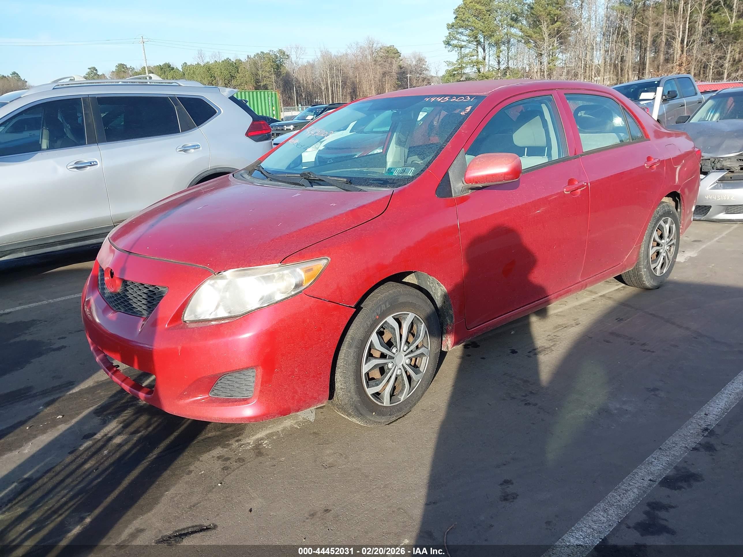 TOYOTA COROLLA image 2
