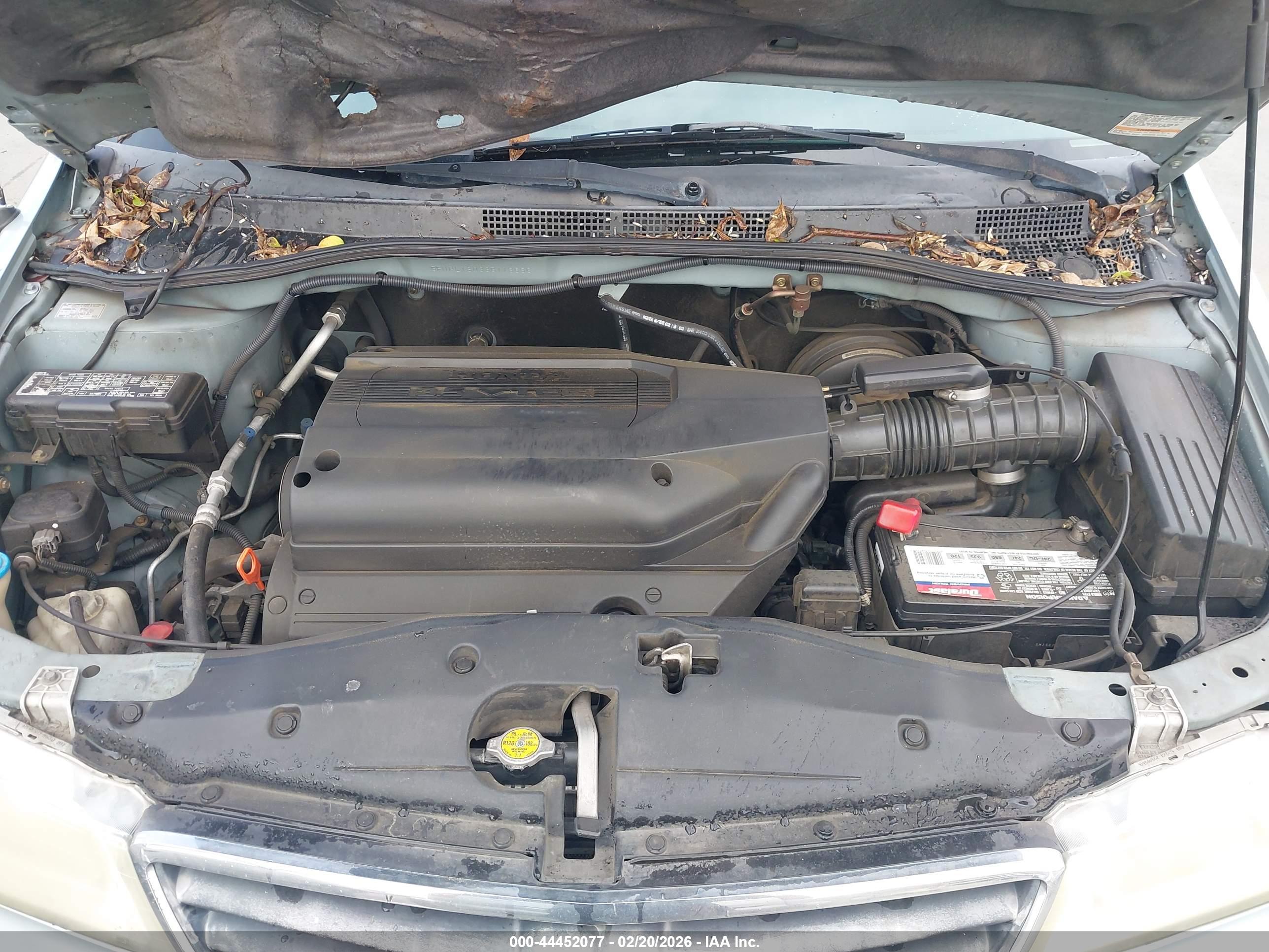 HONDA ODYSSEY image 10