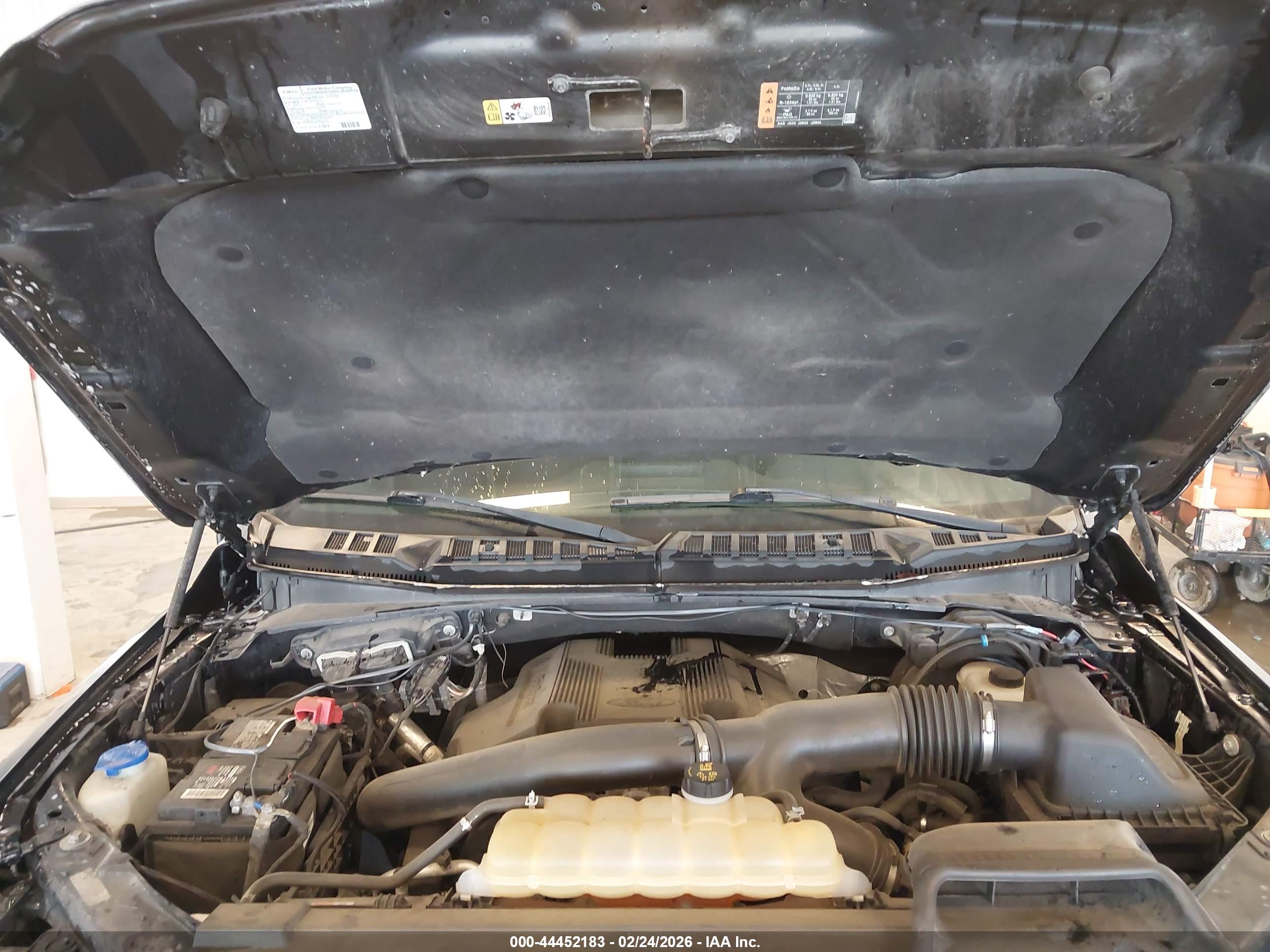 FORD F-150 image 10