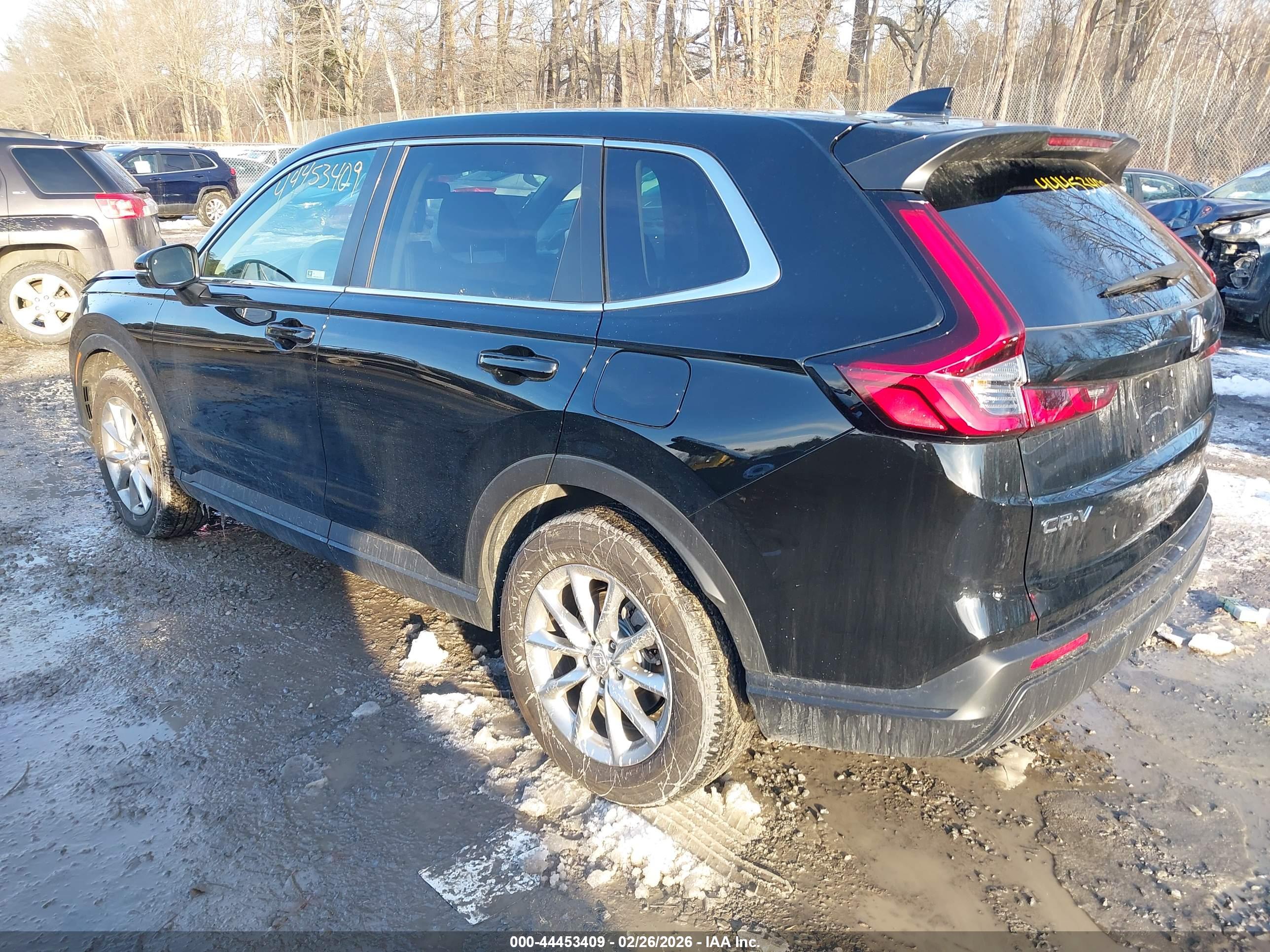 HONDA CR-V image 3