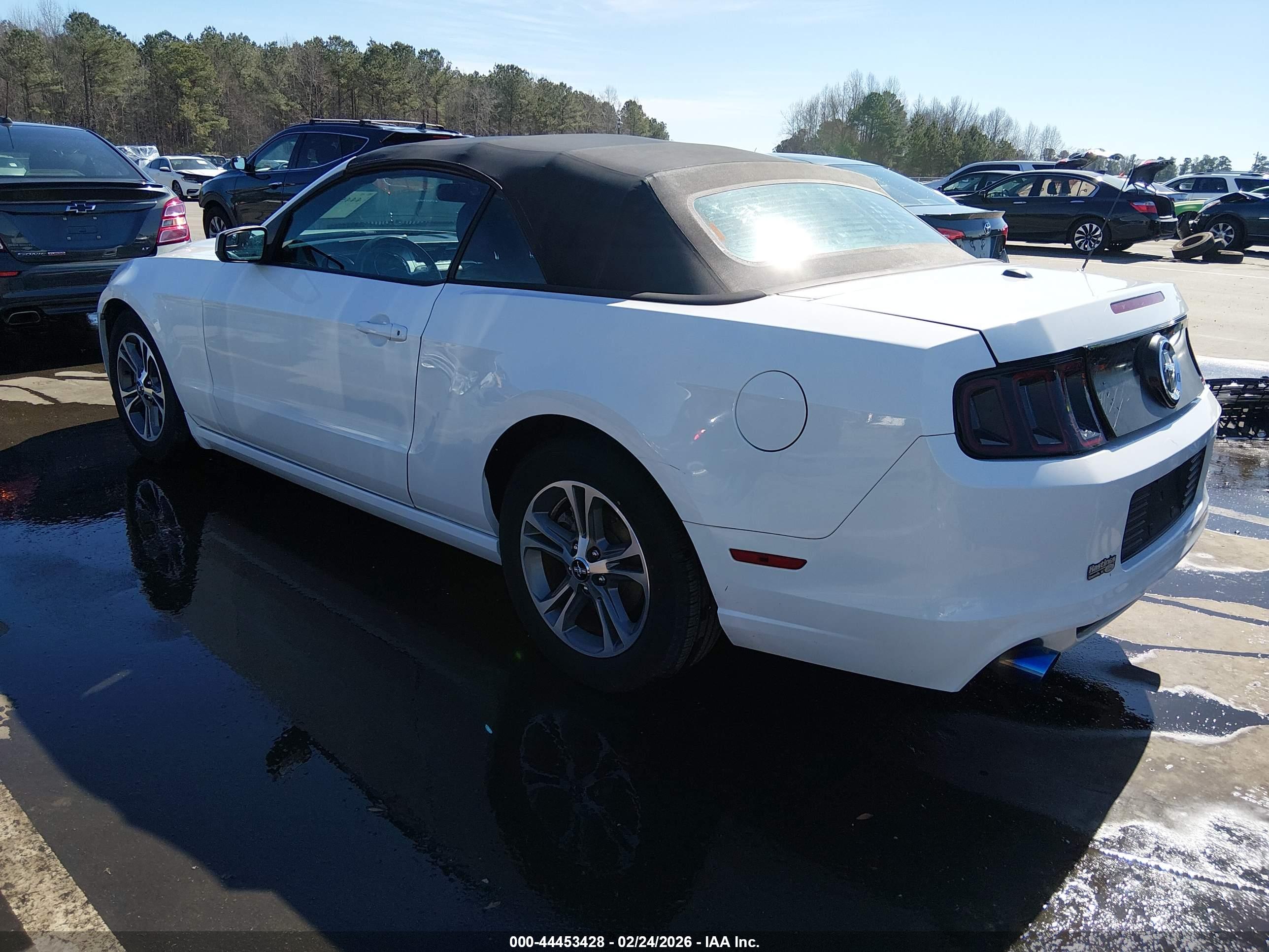 FORD MUSTANG image 3