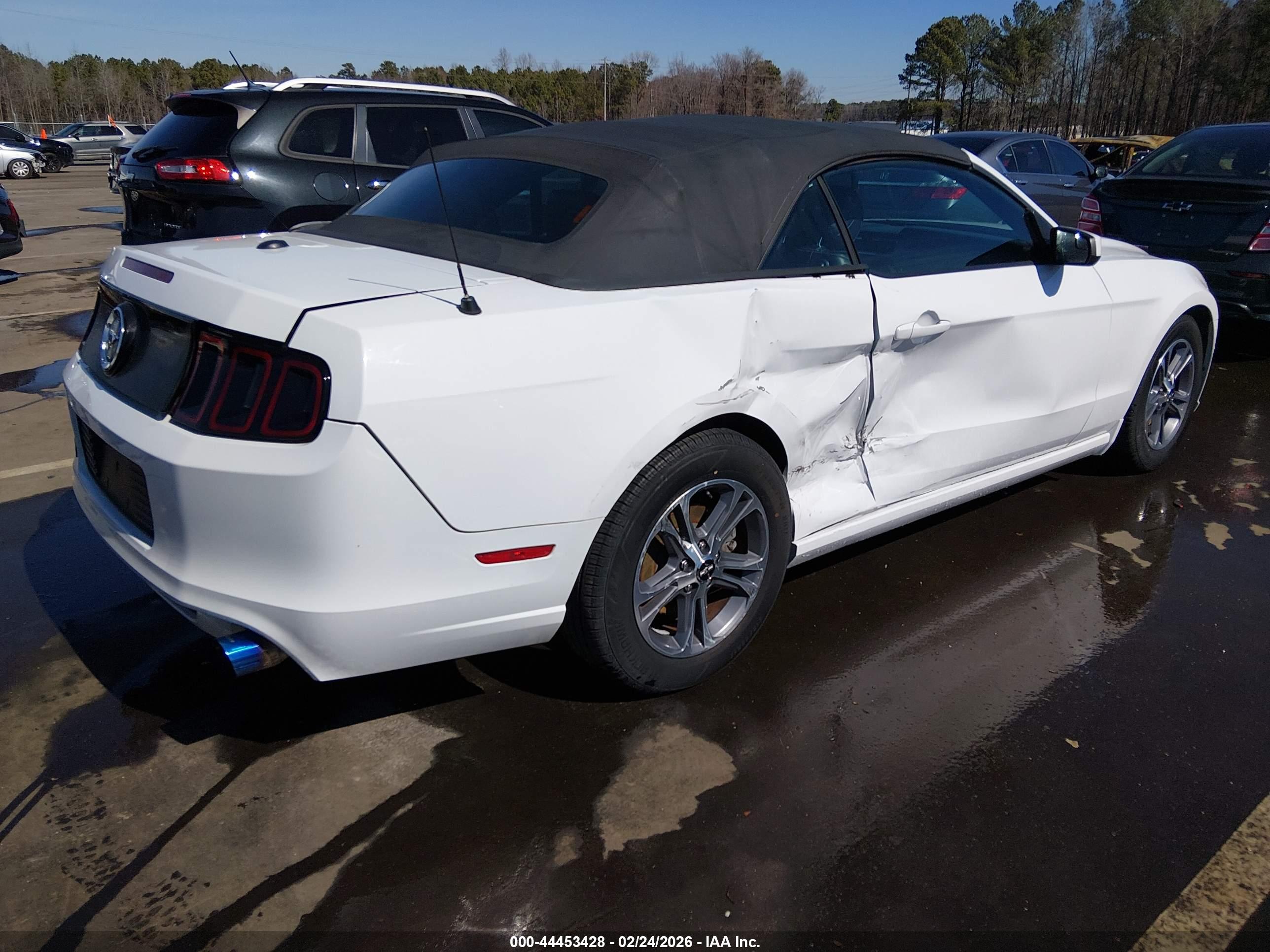 FORD MUSTANG image 4