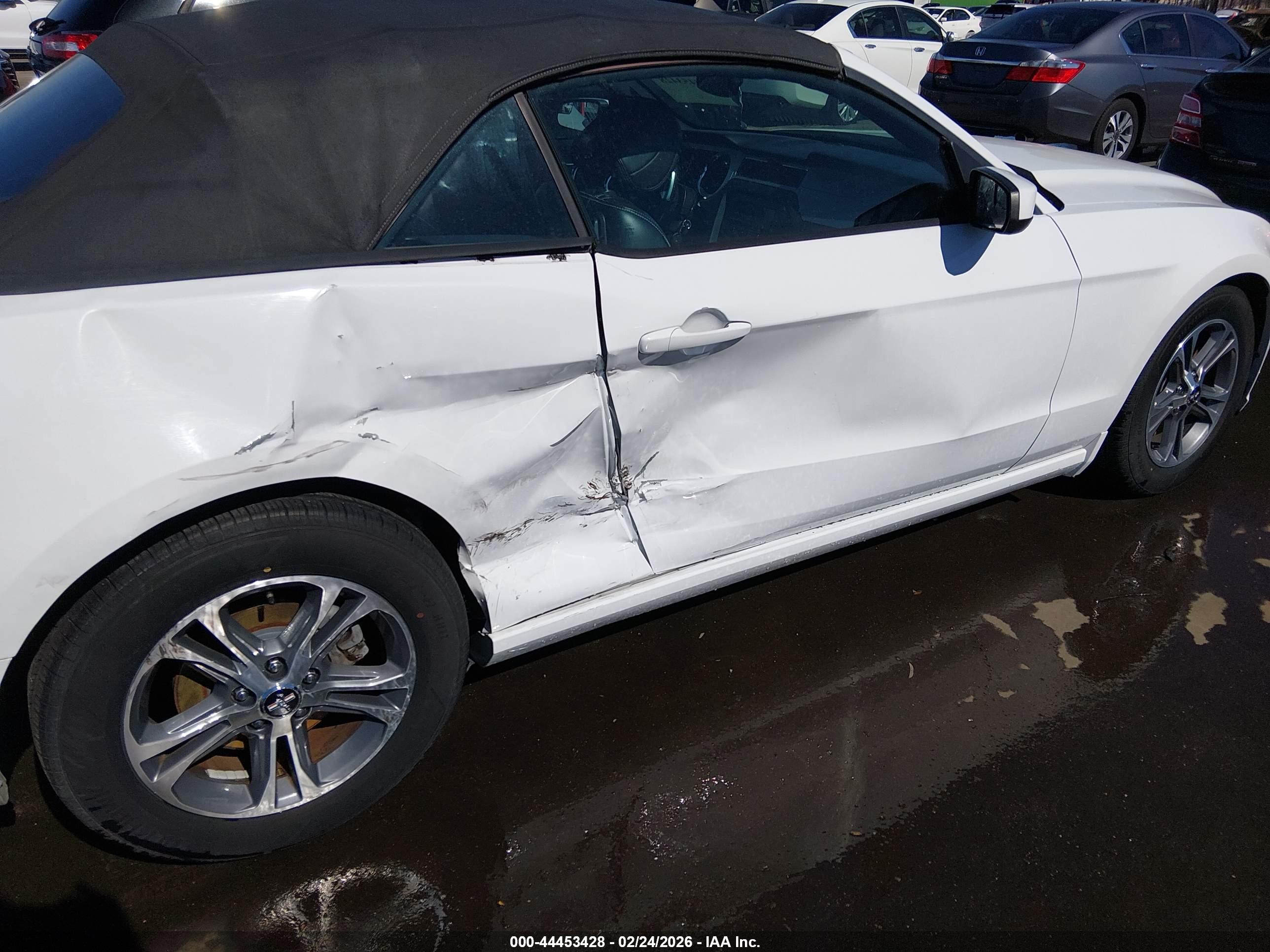 FORD MUSTANG image 6