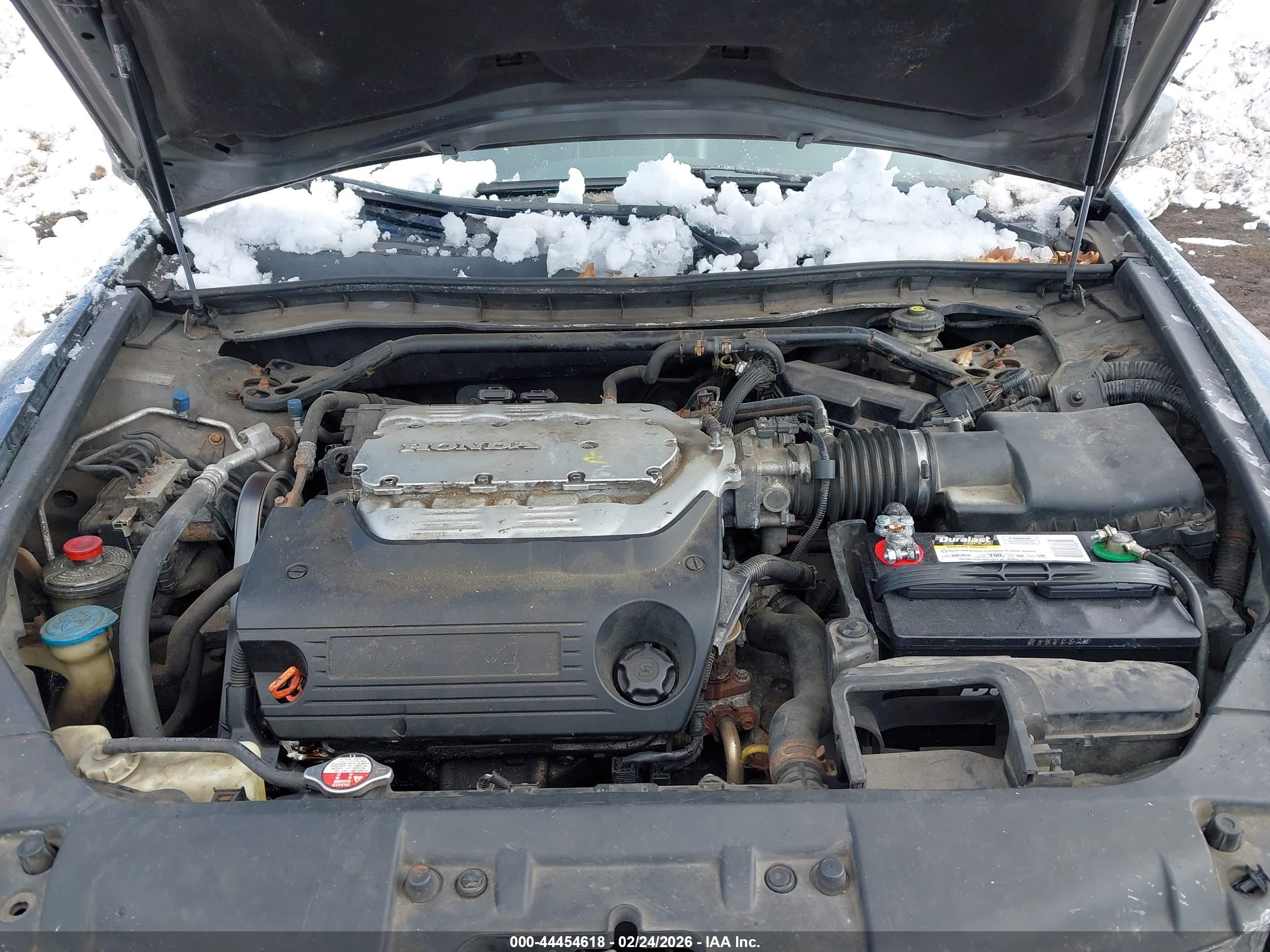 HONDA ACCORD image 10