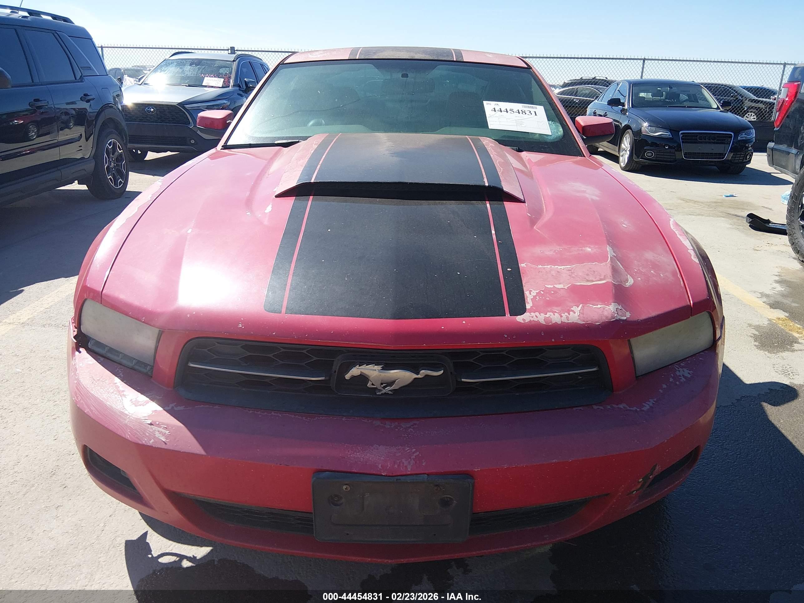 FORD MUSTANG image 6