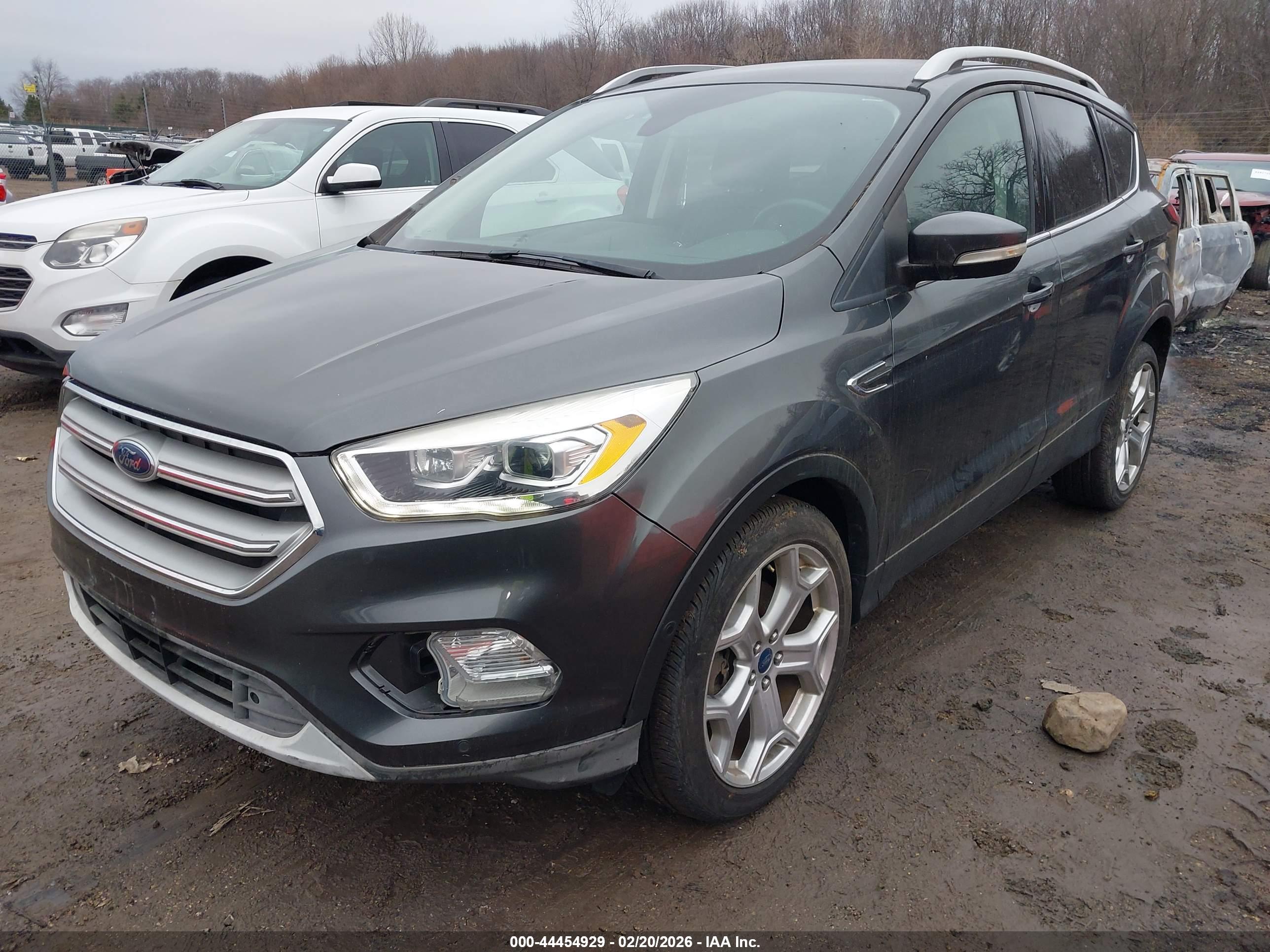 FORD ESCAPE image 6