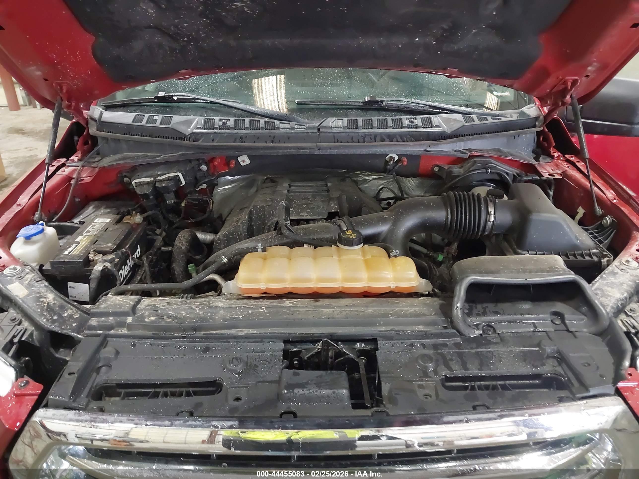 FORD F-150 image 10