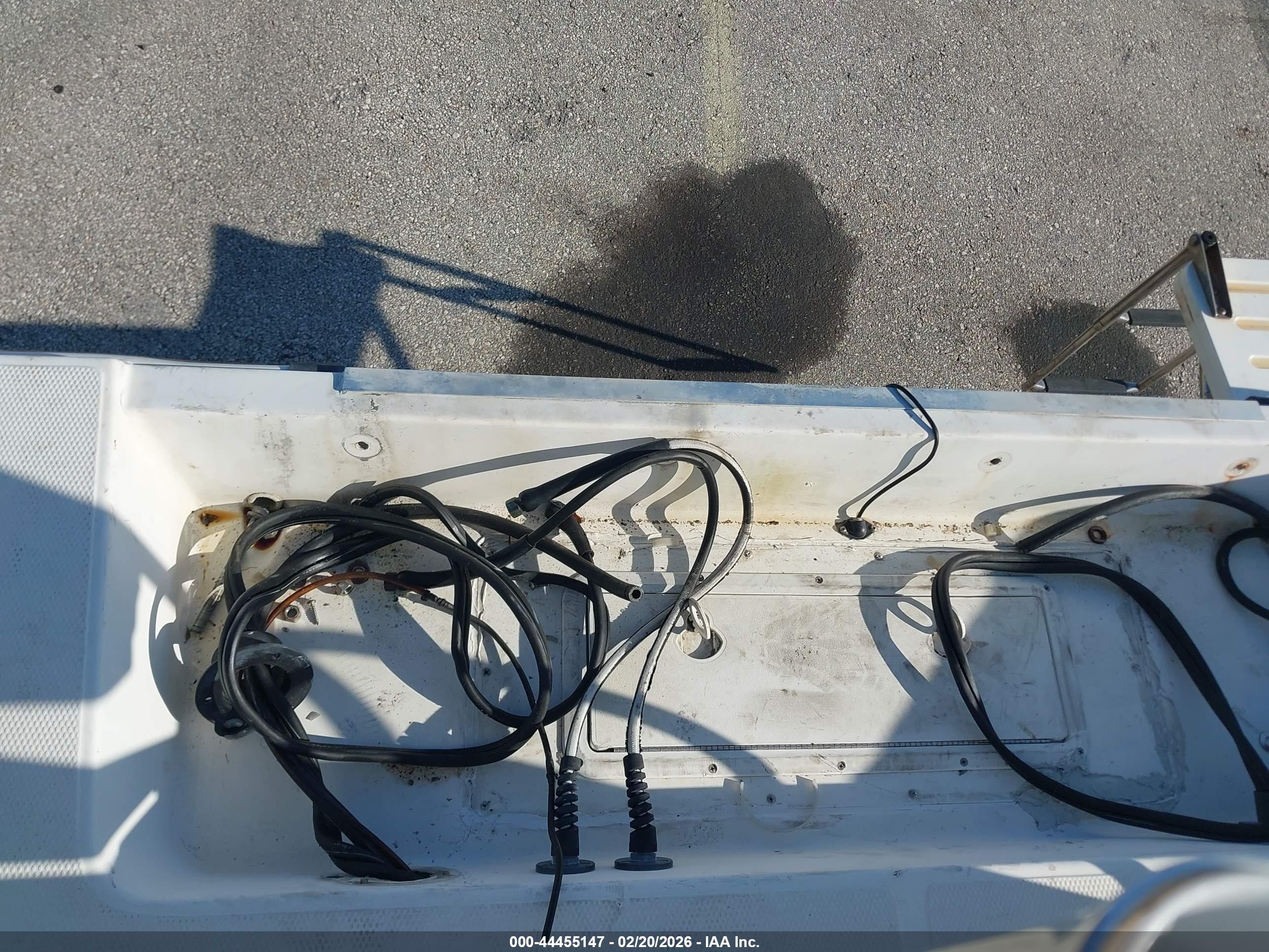 COBIA OTHER image 10