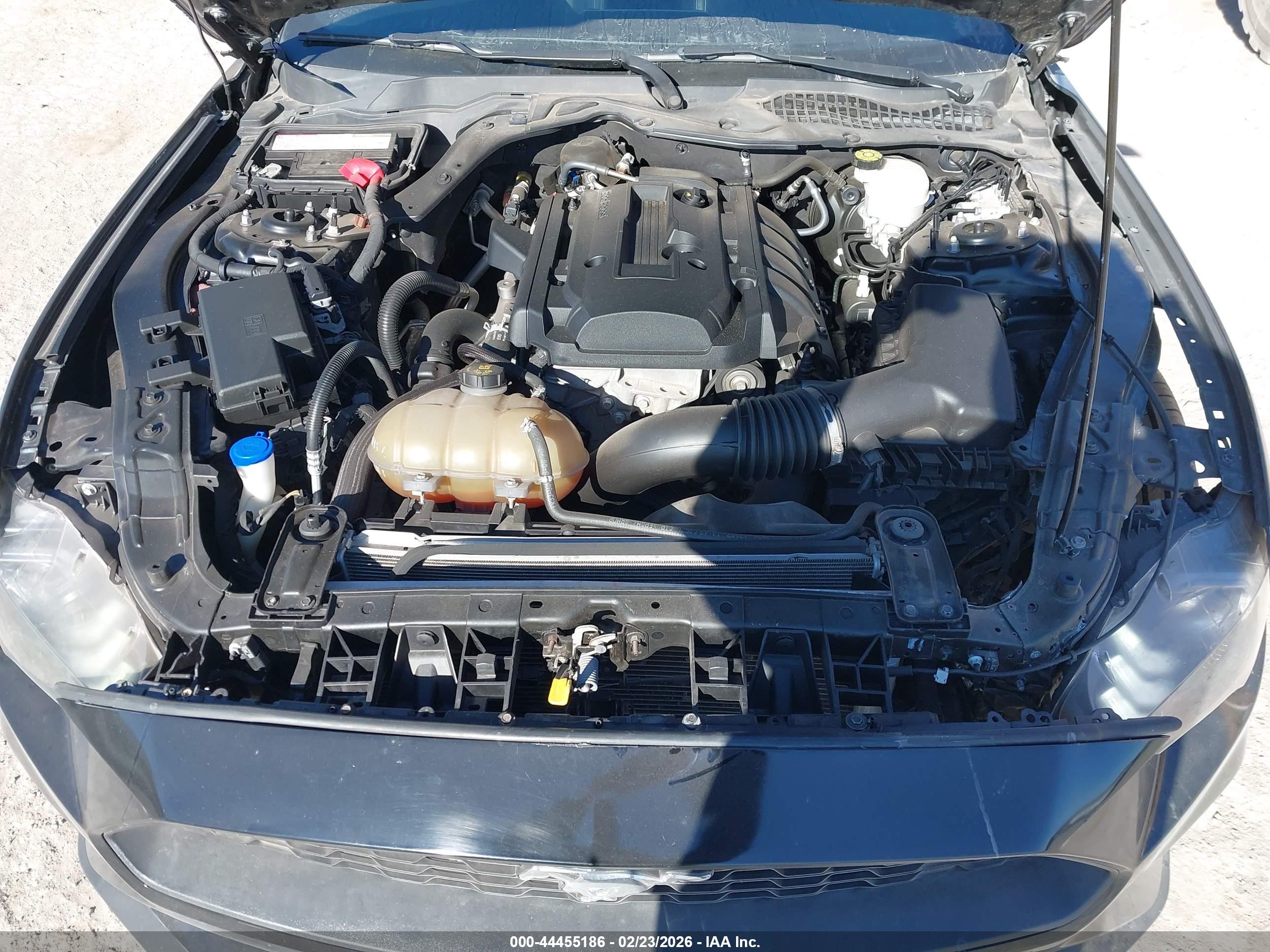 FORD MUSTANG image 10