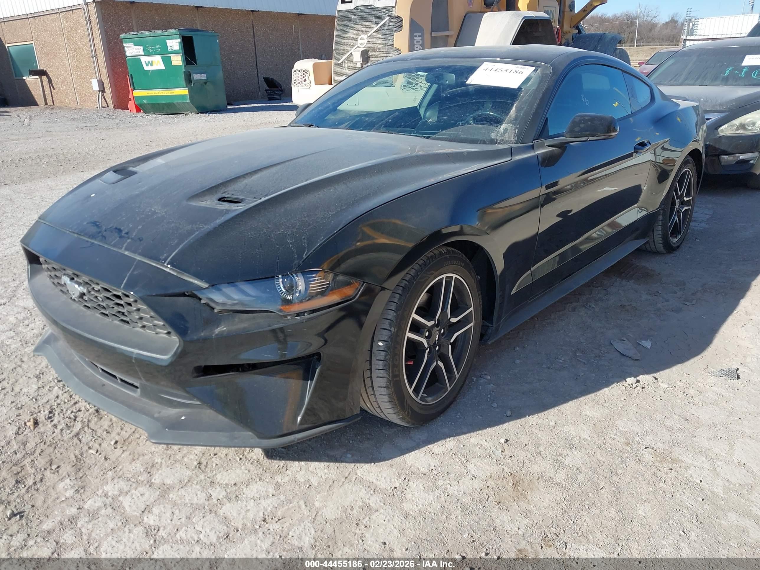 FORD MUSTANG image 2
