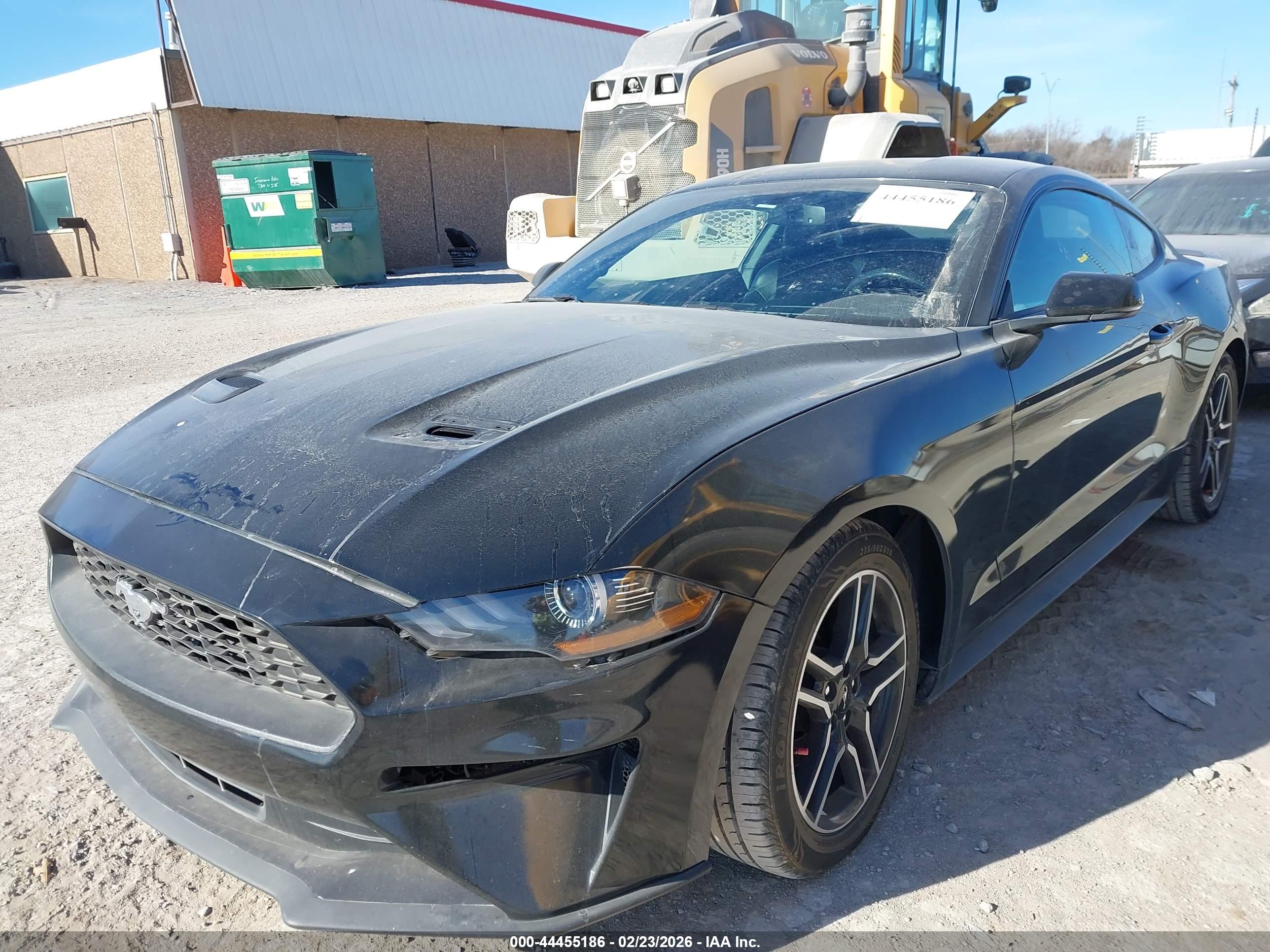 FORD MUSTANG image 6