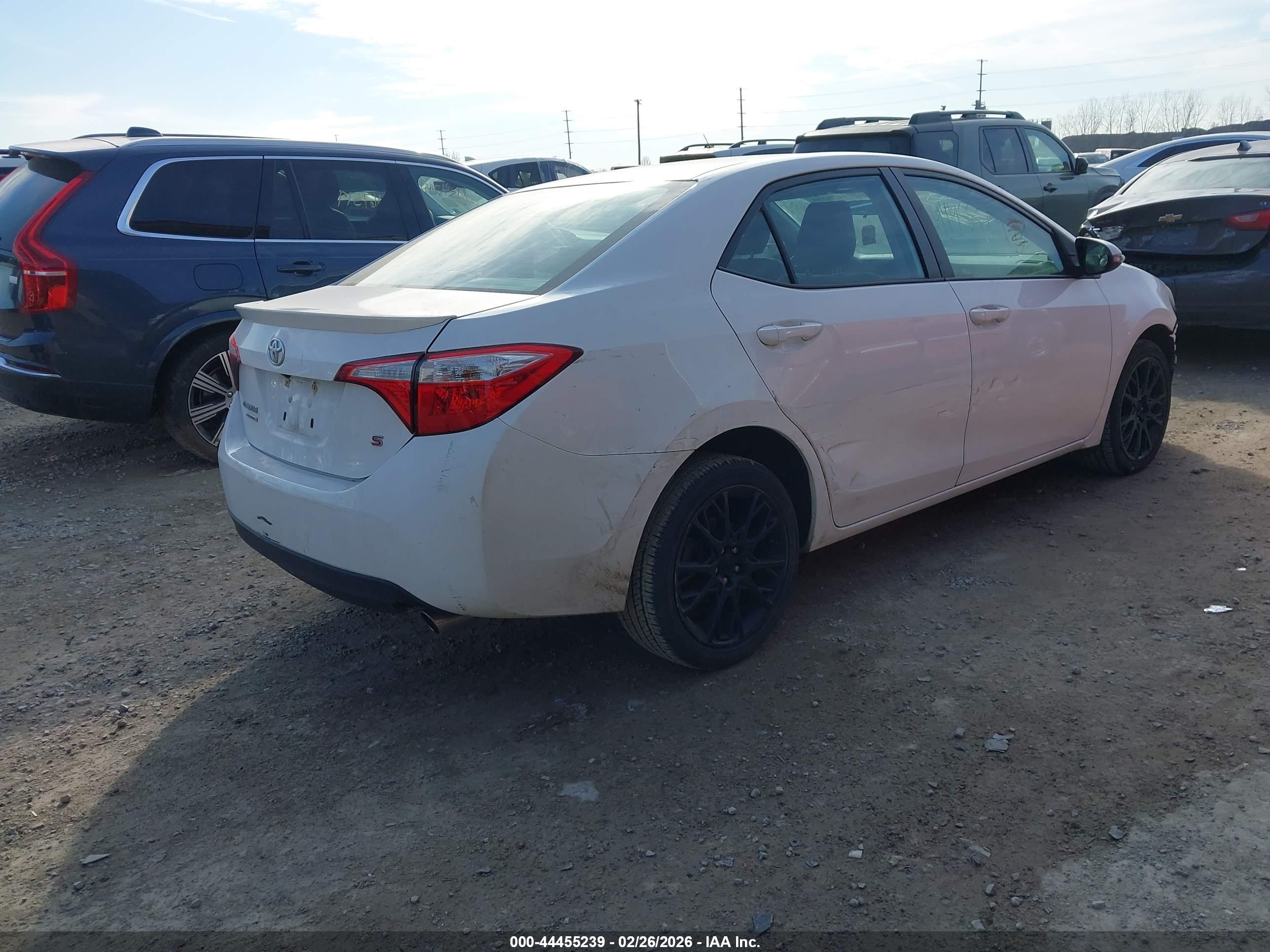 TOYOTA COROLLA image 4