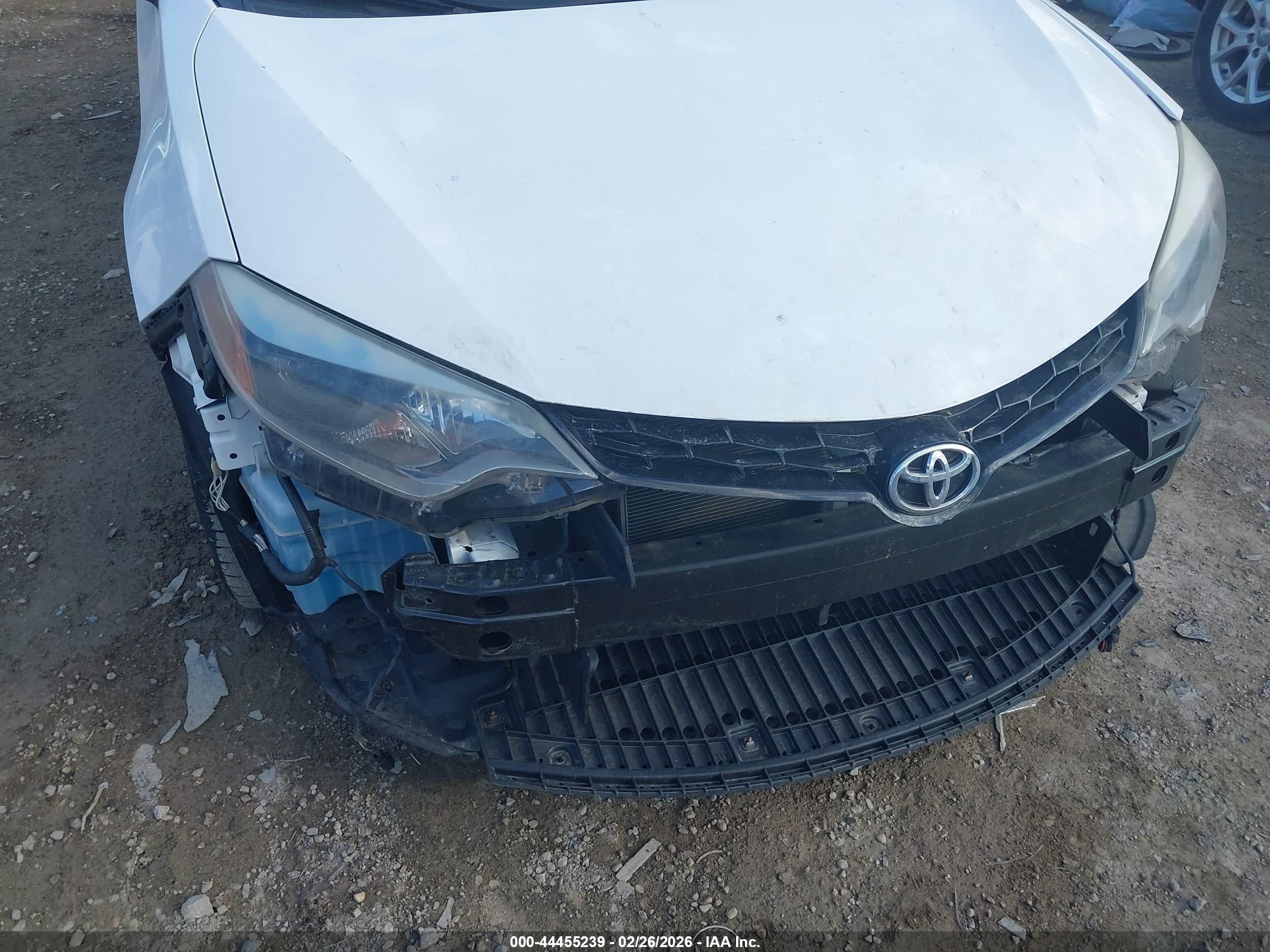 TOYOTA COROLLA image 6