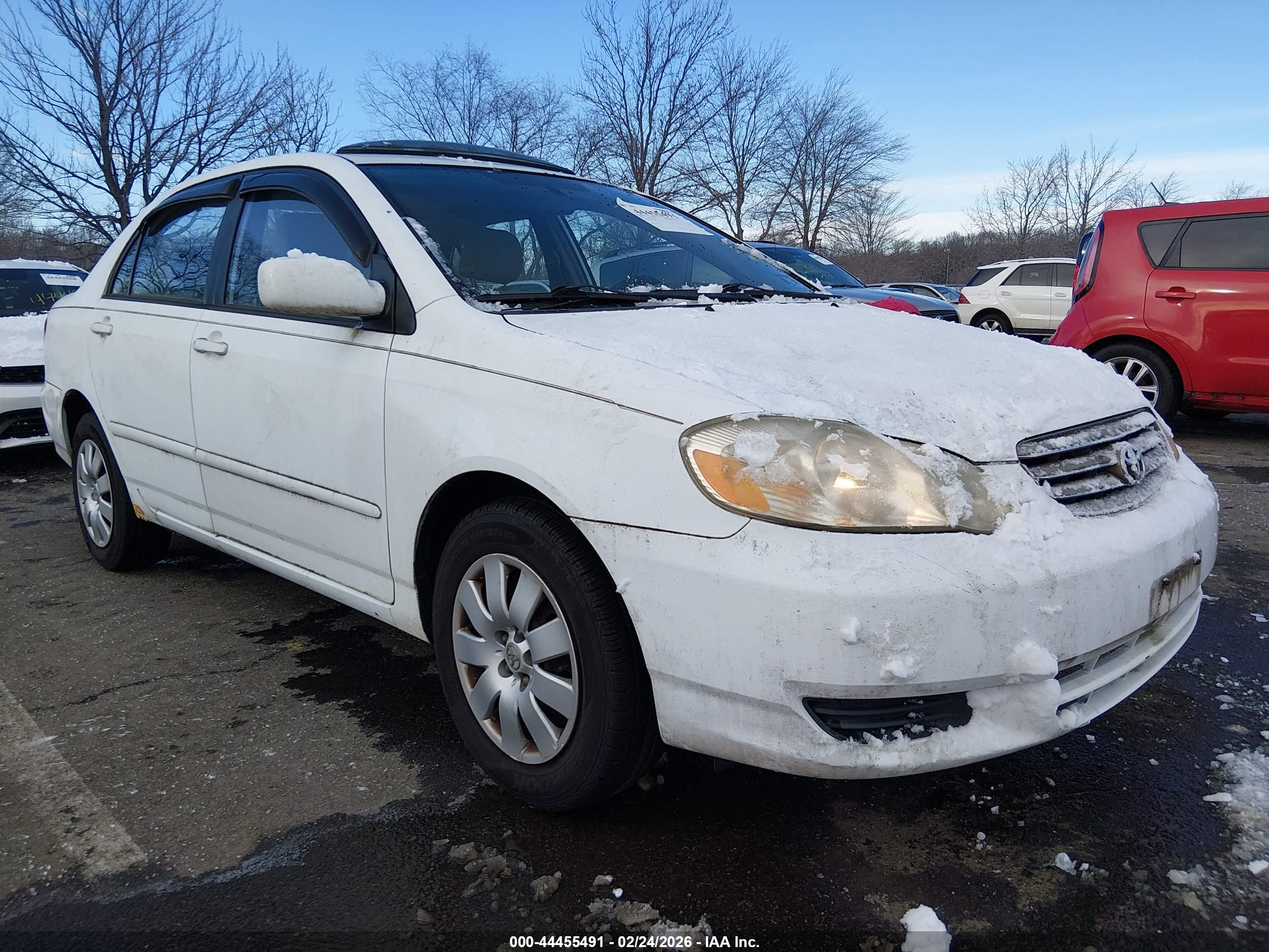 TOYOTA COROLLA image 6