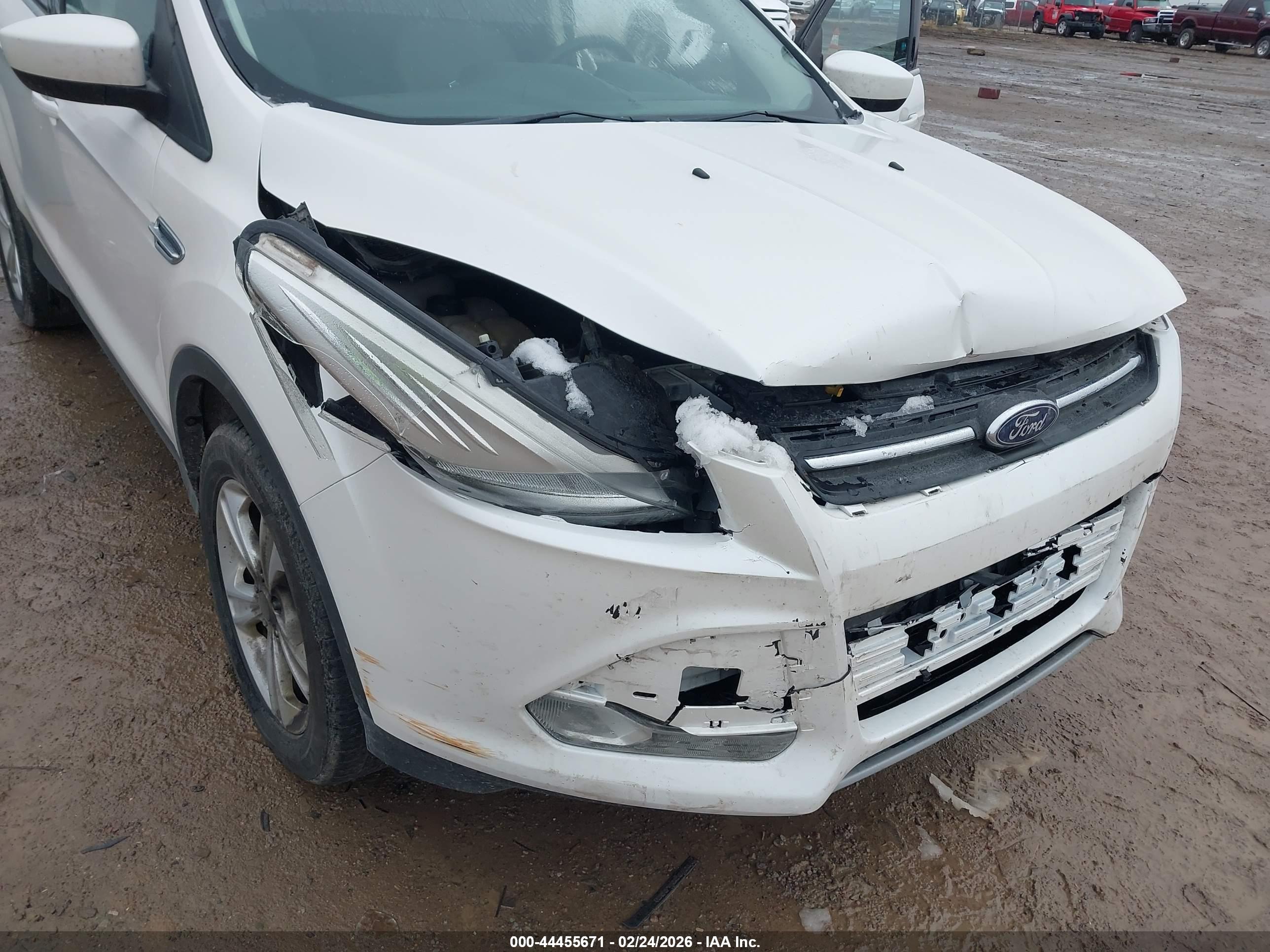 FORD ESCAPE image 6