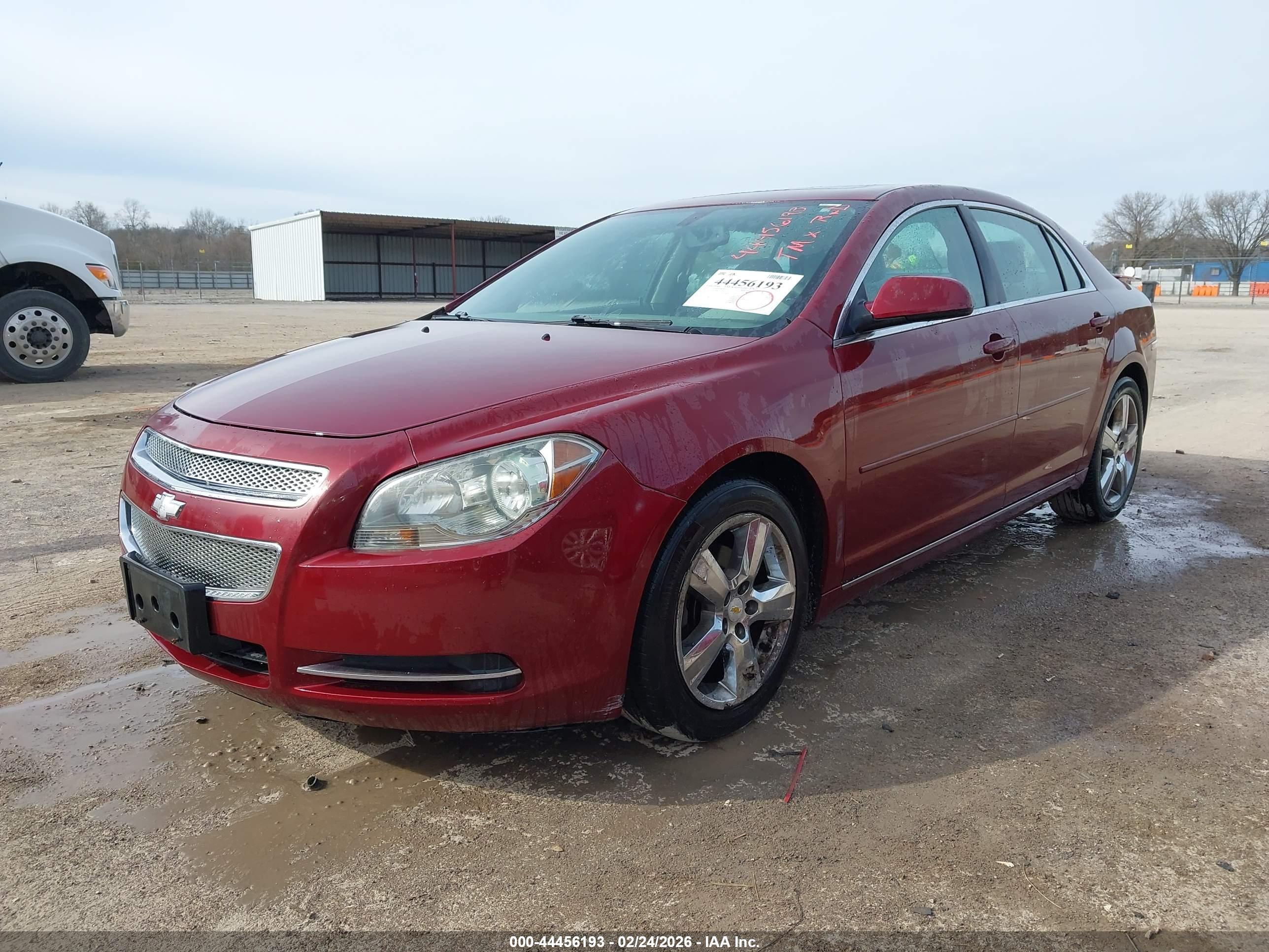 CHEVROLET MALIBU image 2