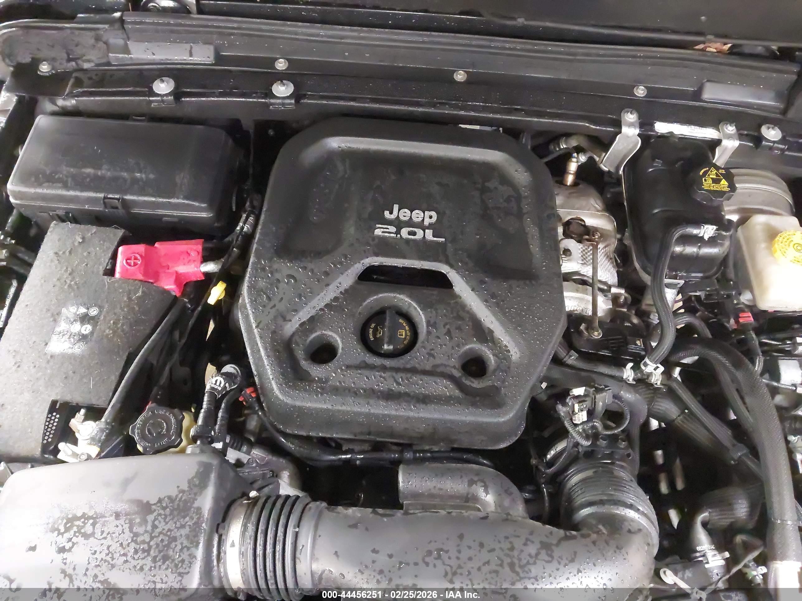 JEEP WRANGLER image 10