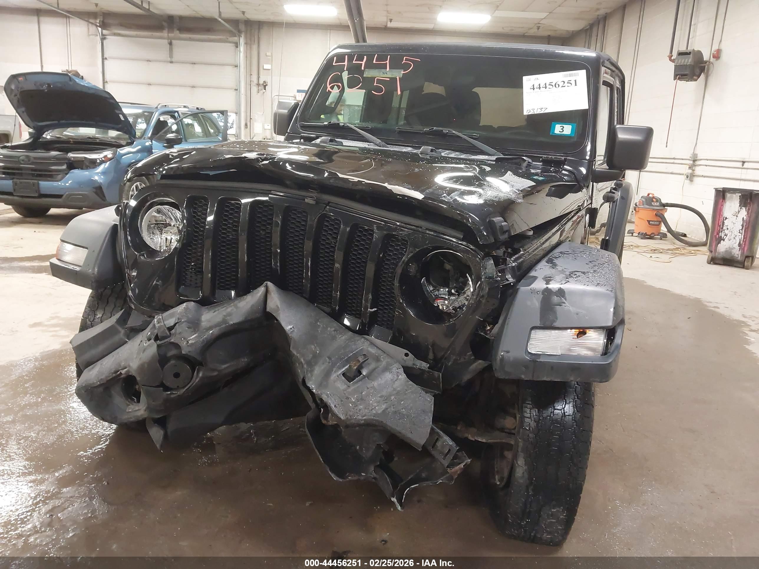 JEEP WRANGLER image 6