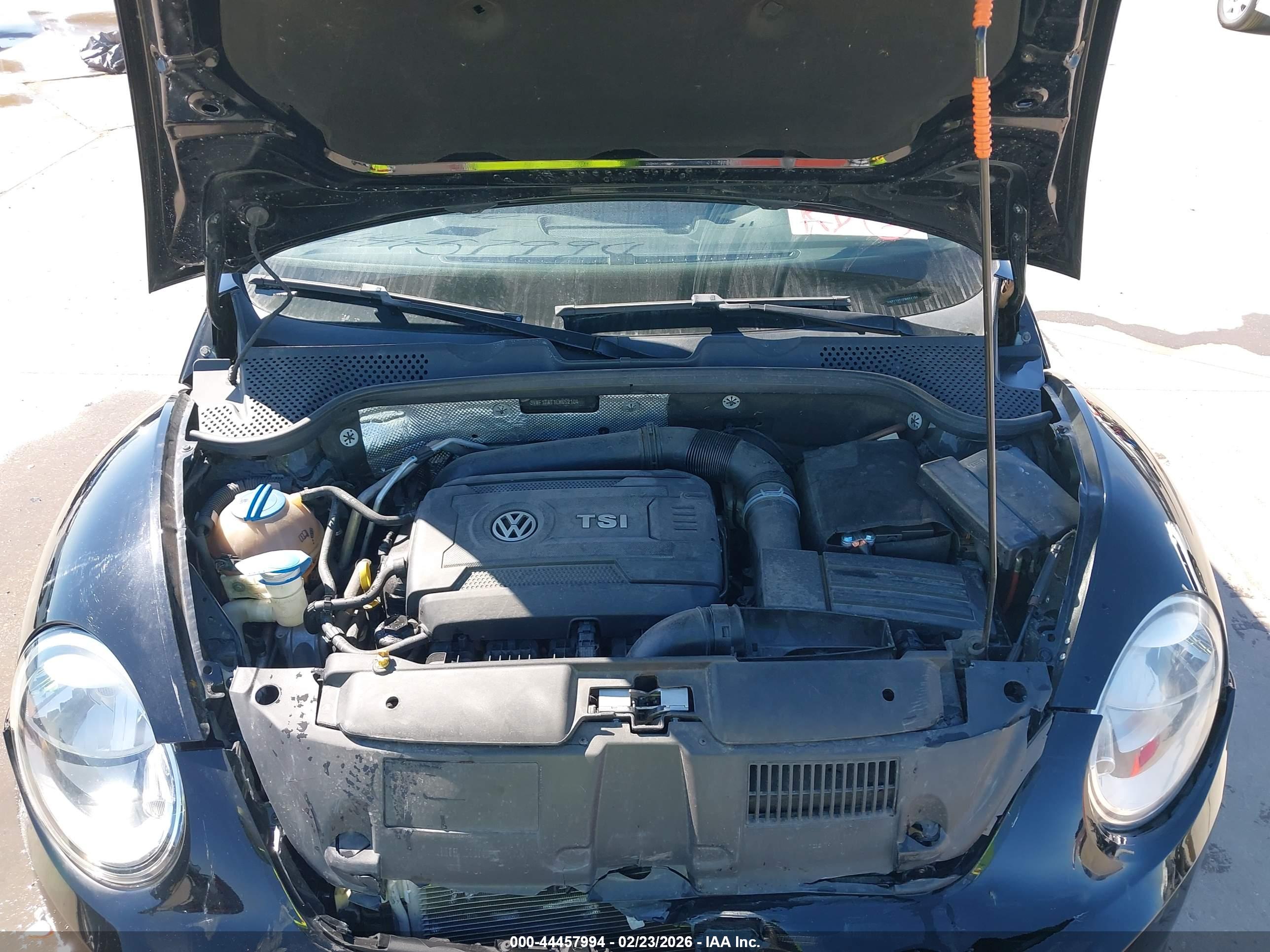VOLKSWAGEN BEETLE image 10