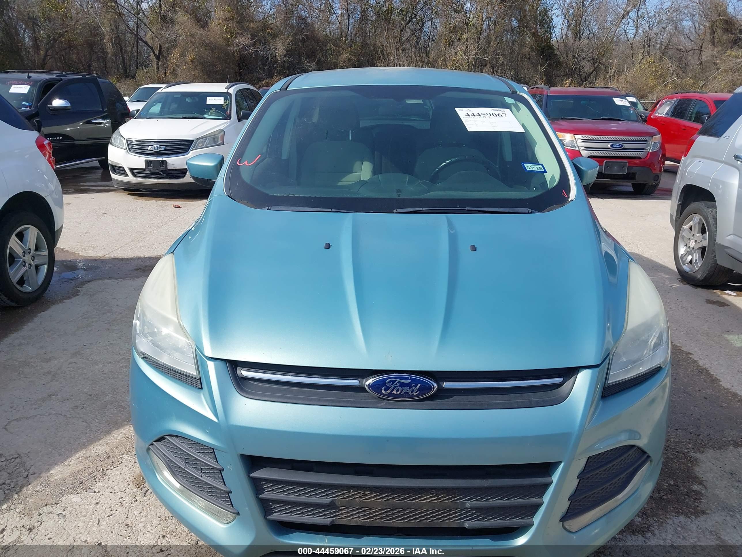 FORD ESCAPE image 6