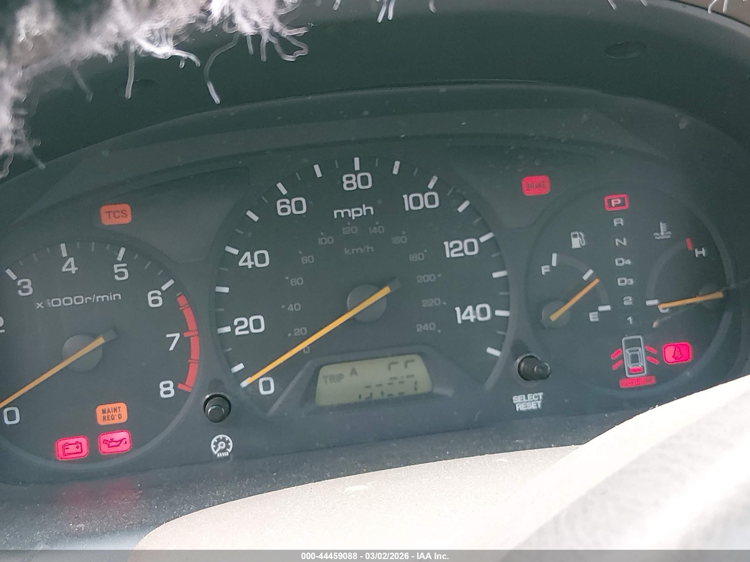 HONDA ACCORD image 7