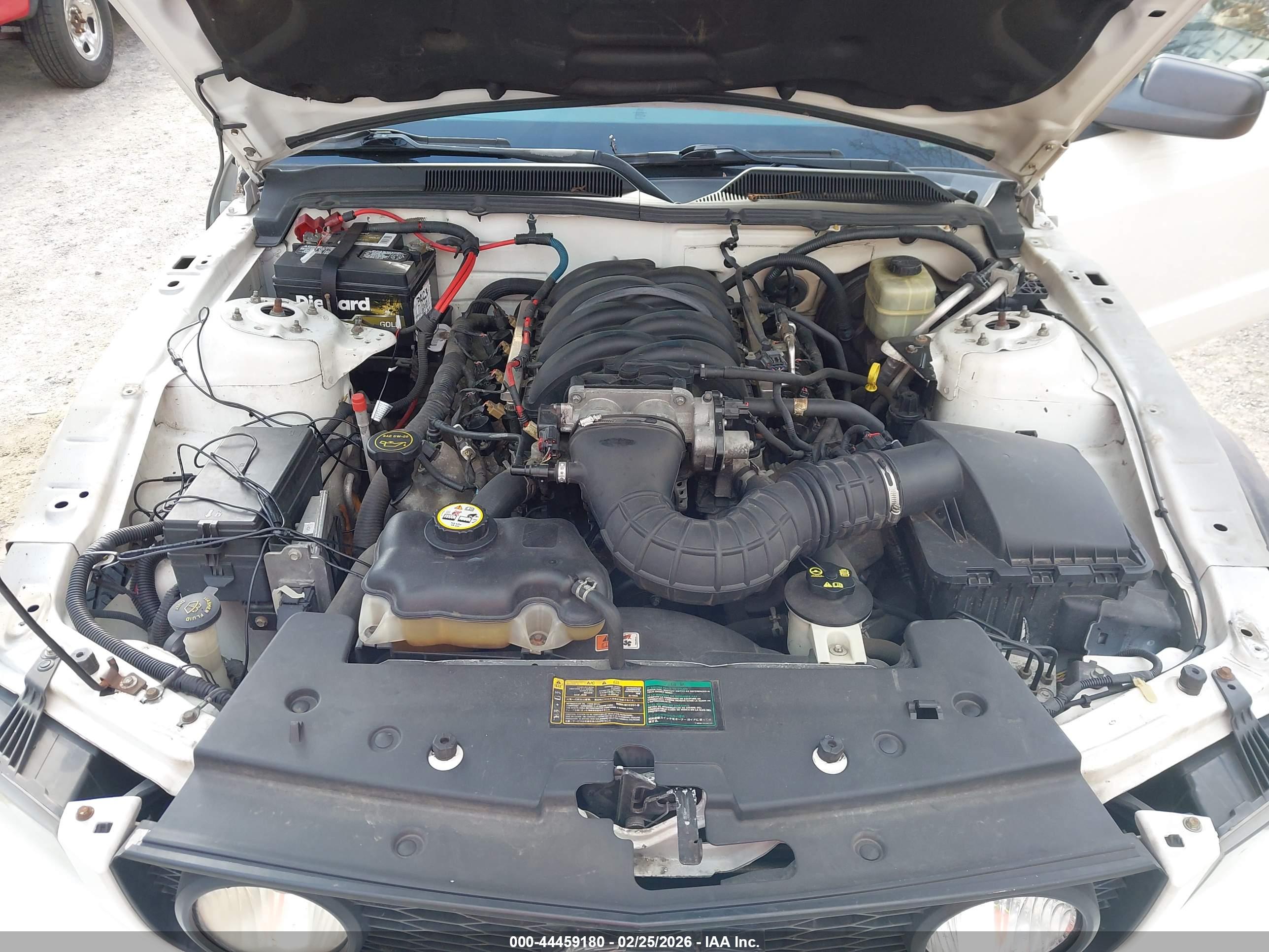 FORD MUSTANG image 10