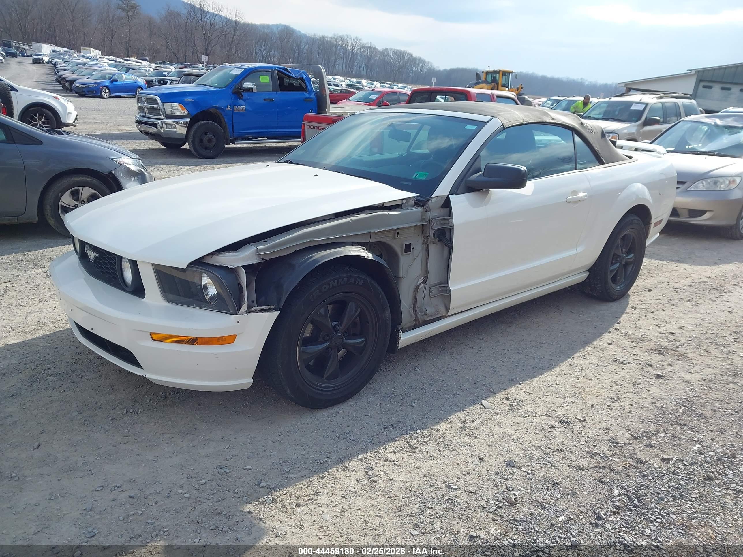 FORD MUSTANG image 2