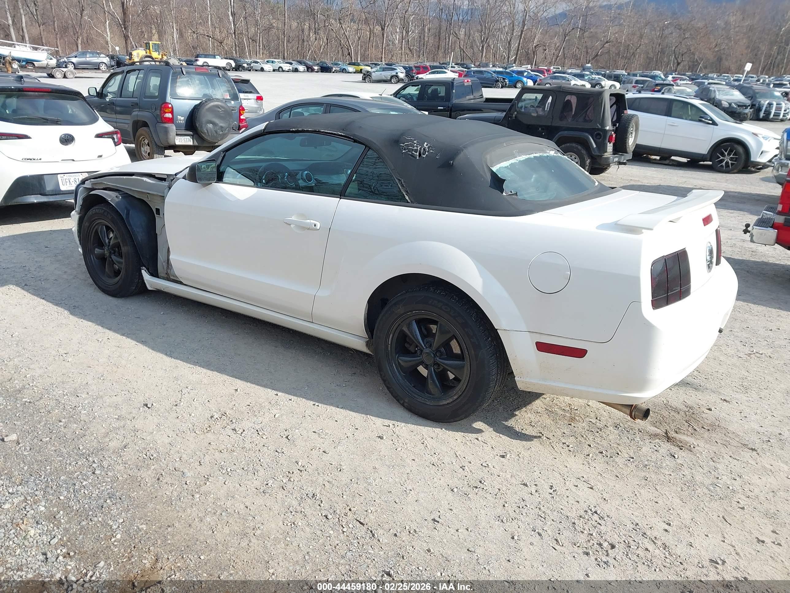 FORD MUSTANG image 3