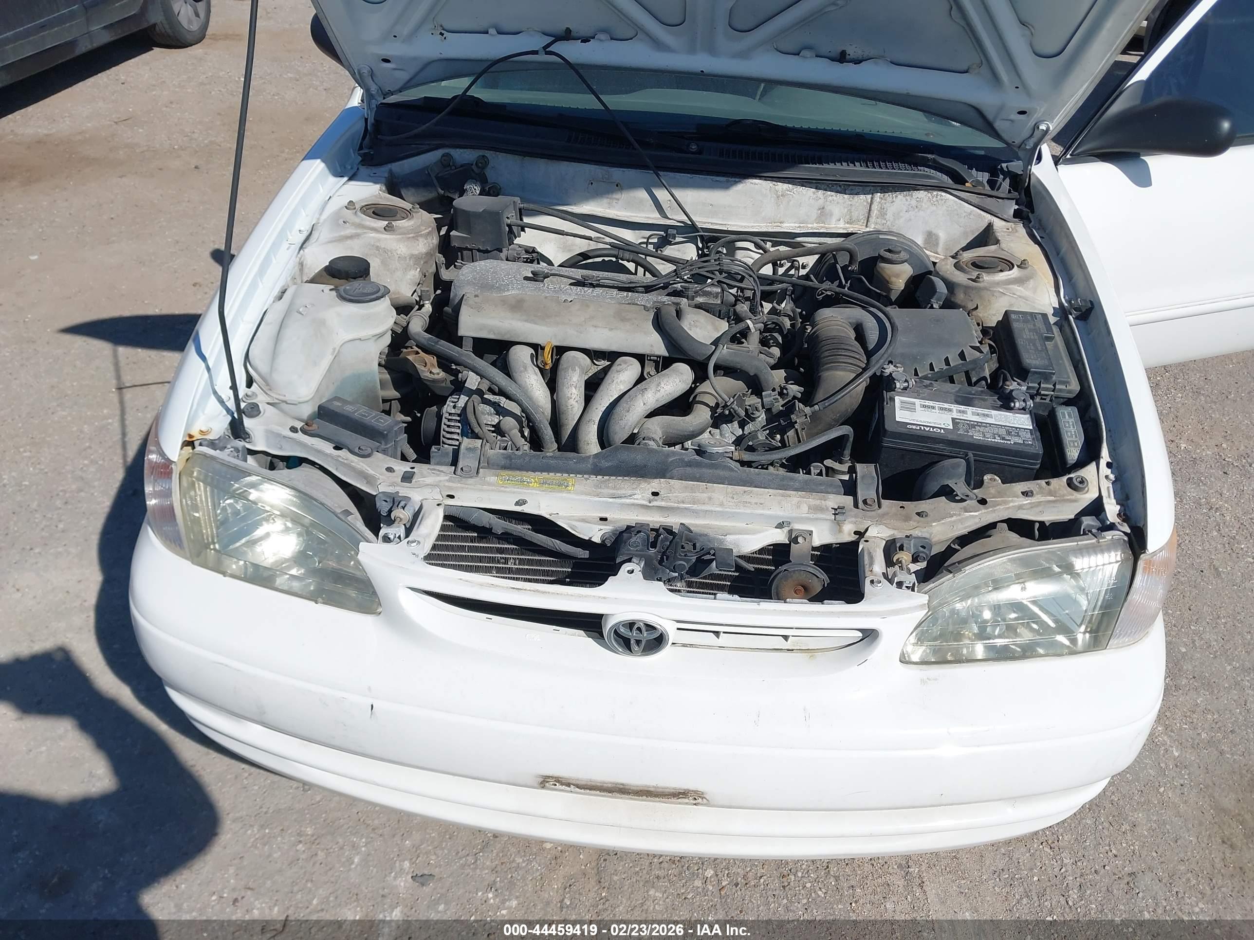 TOYOTA COROLLA image 10