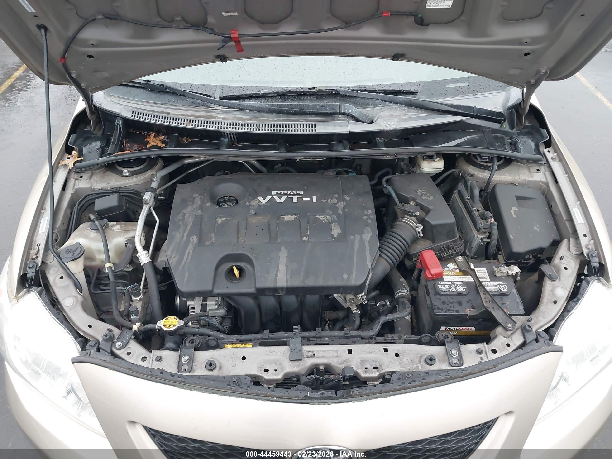 TOYOTA COROLLA image 10
