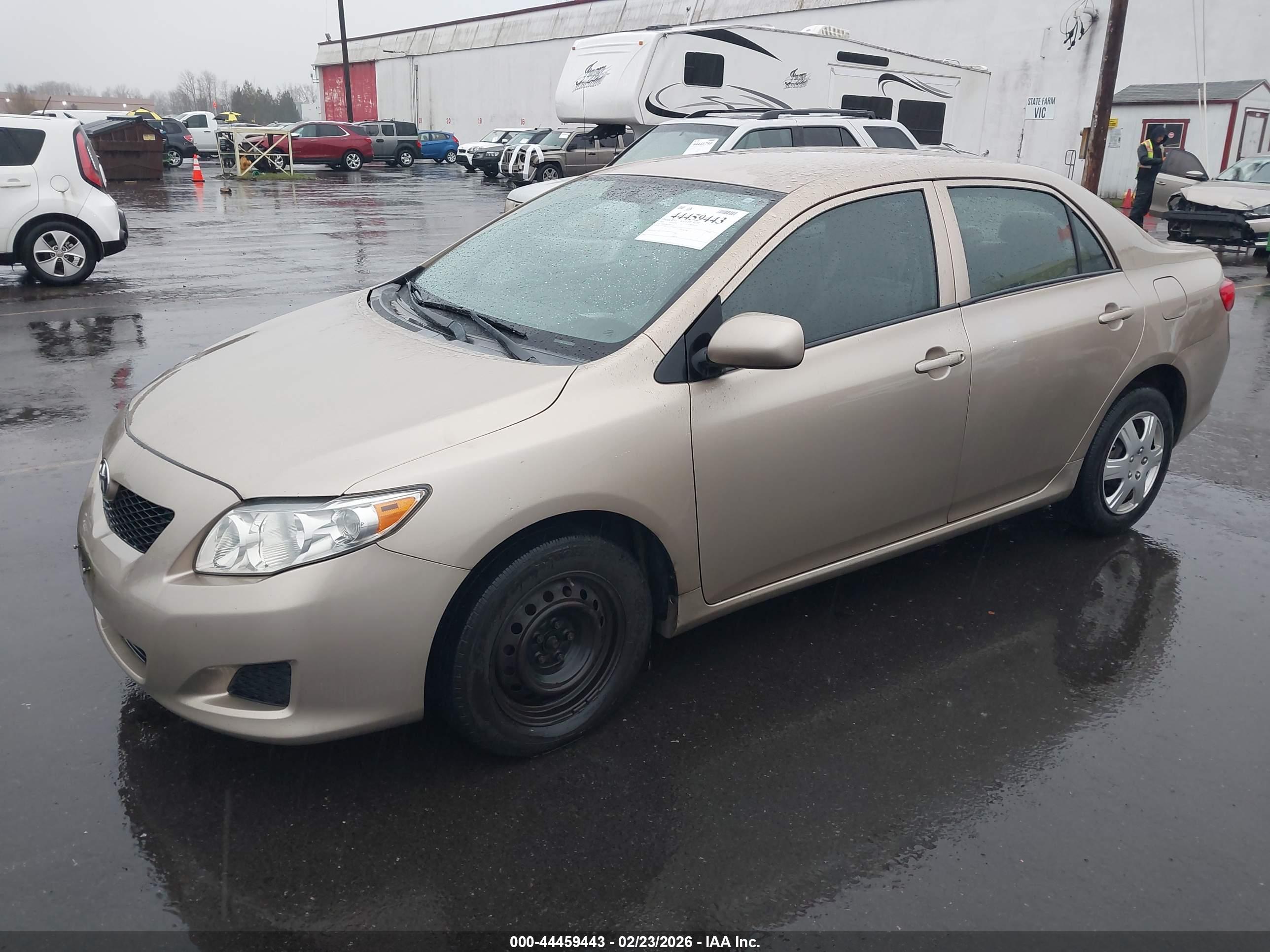 TOYOTA COROLLA image 2