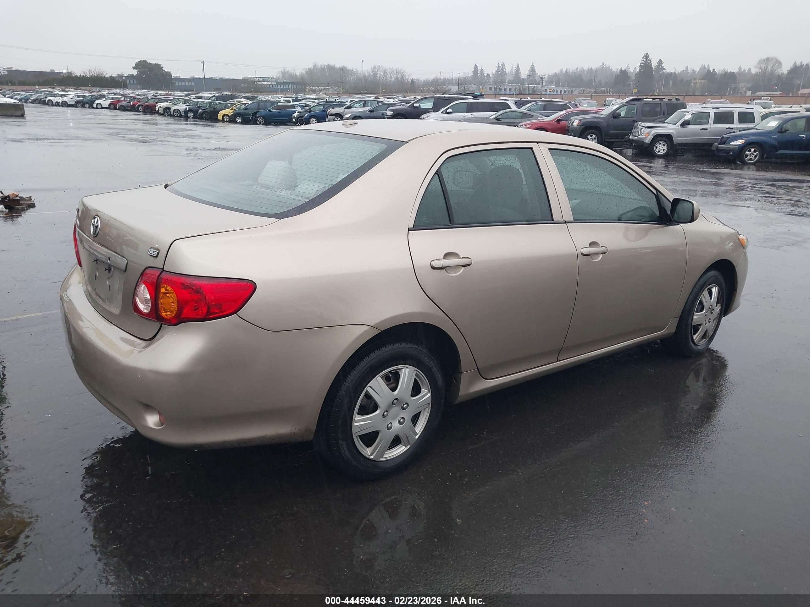 TOYOTA COROLLA image 4