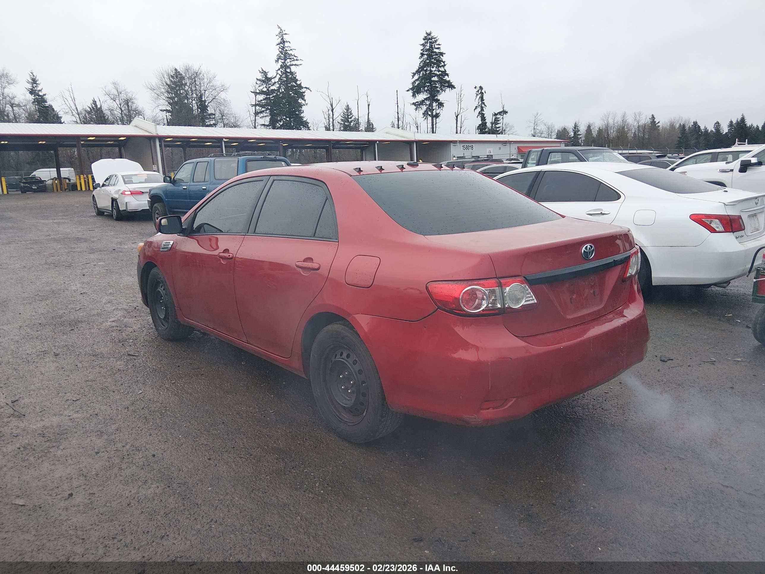 TOYOTA COROLLA image 3