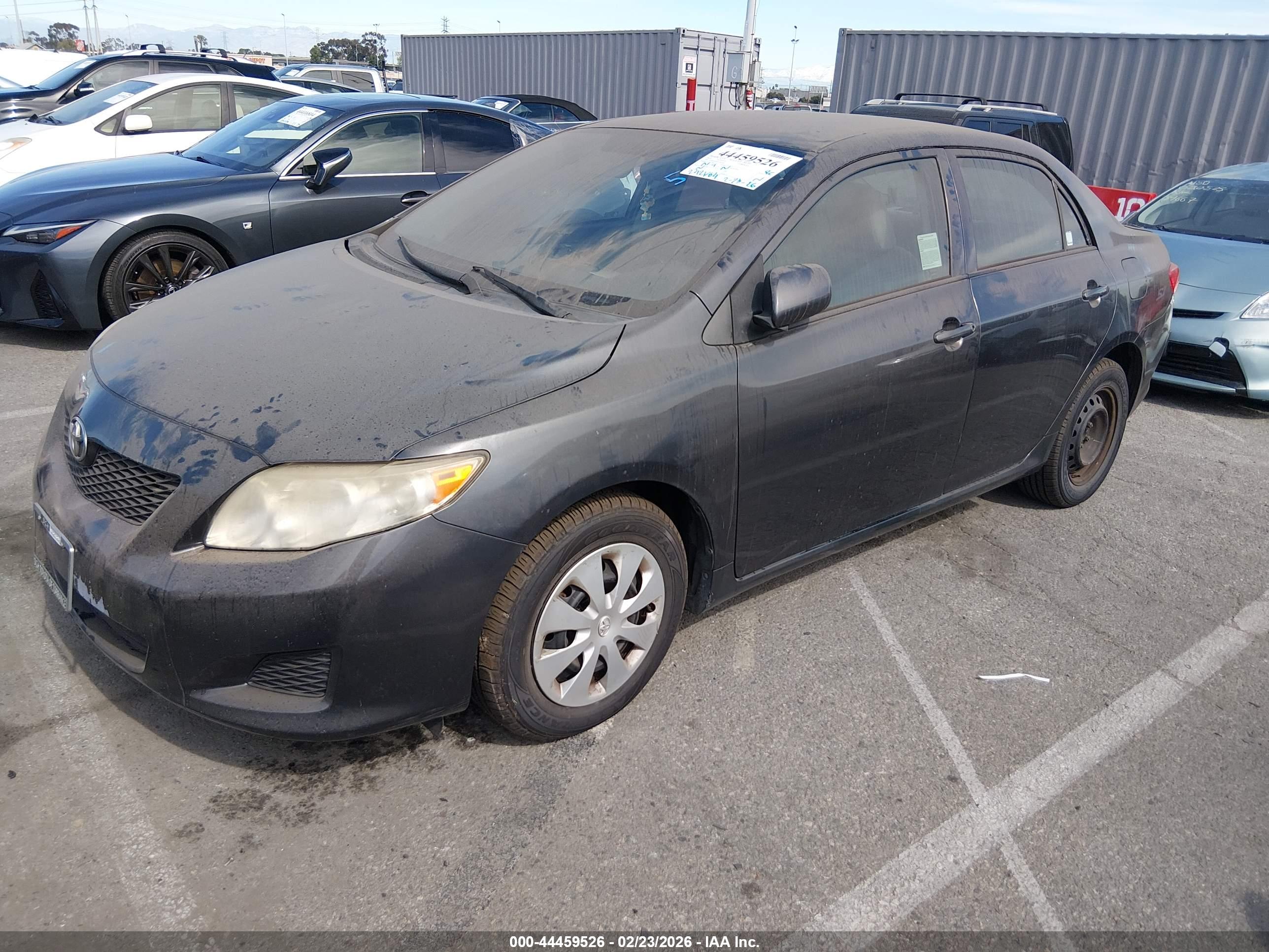 TOYOTA COROLLA image 6