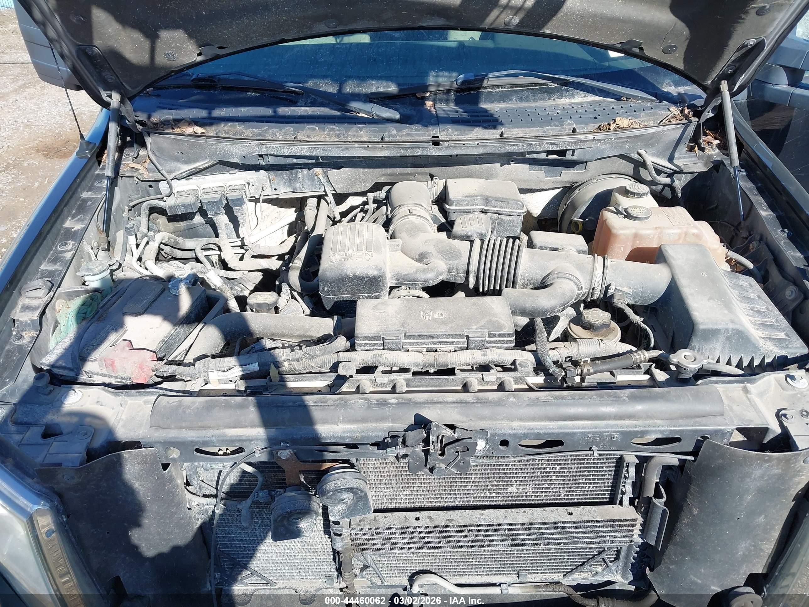 FORD F-150 image 10
