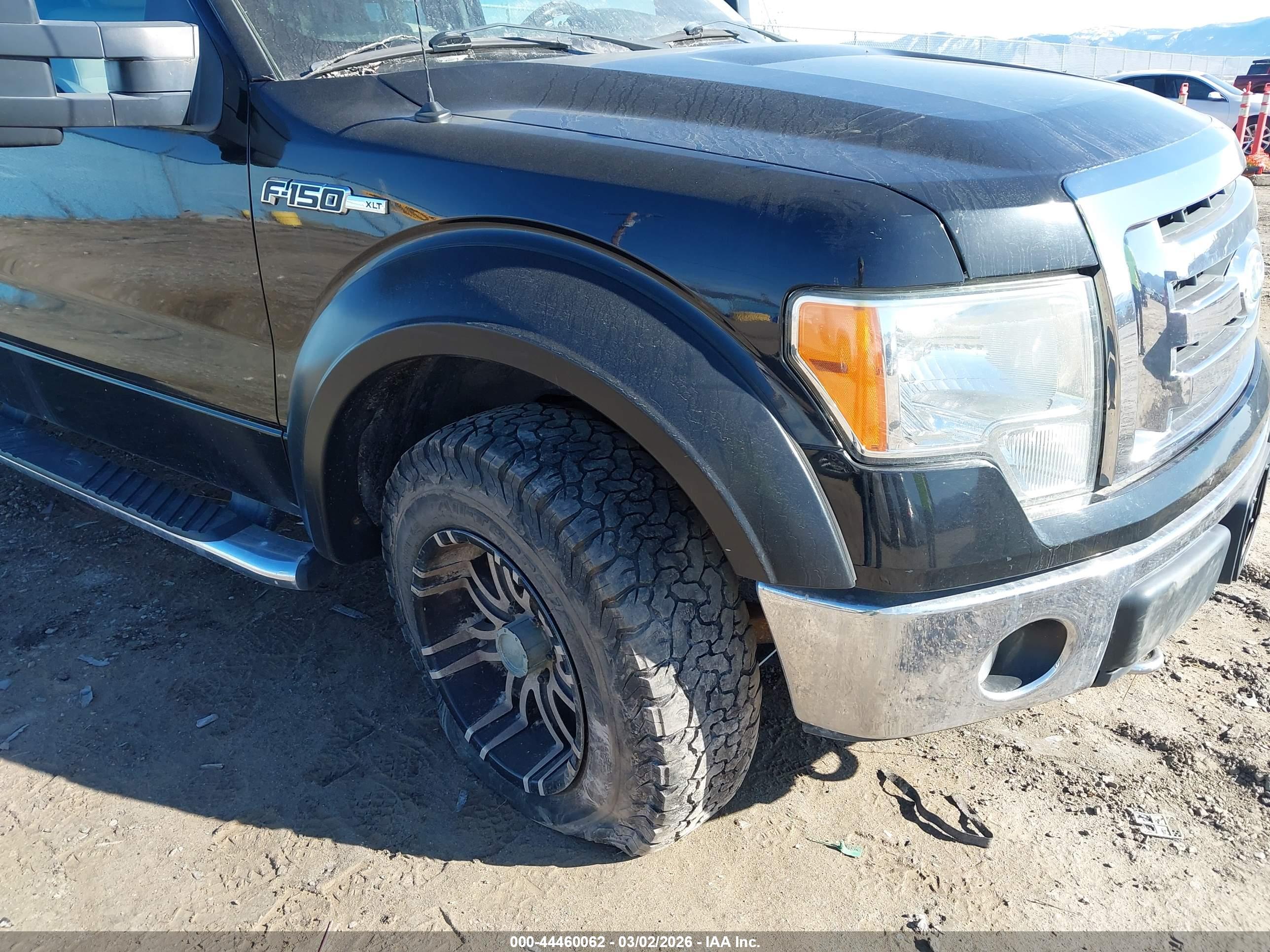 FORD F-150 image 6