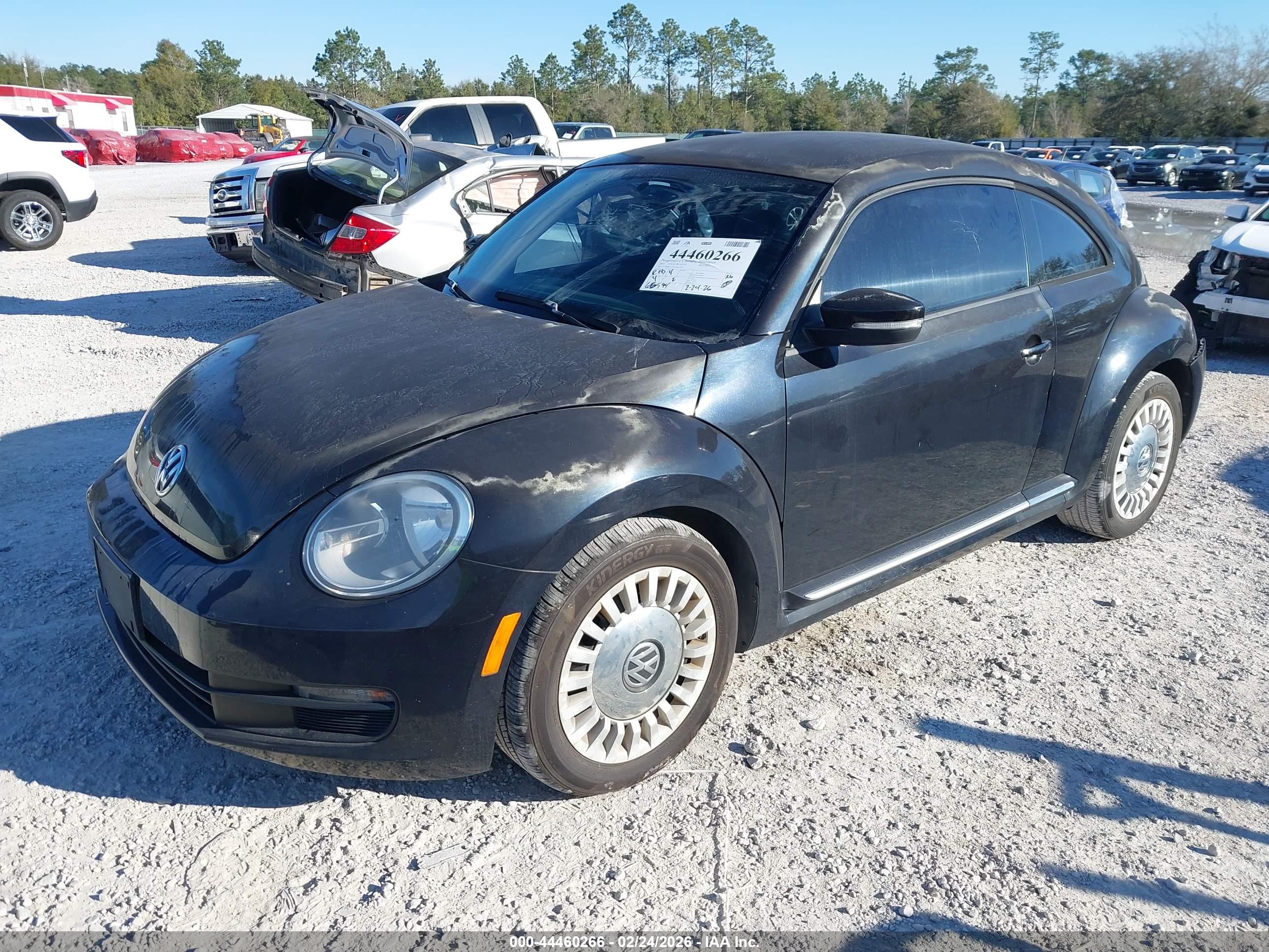 VOLKSWAGEN BEETLE image 2