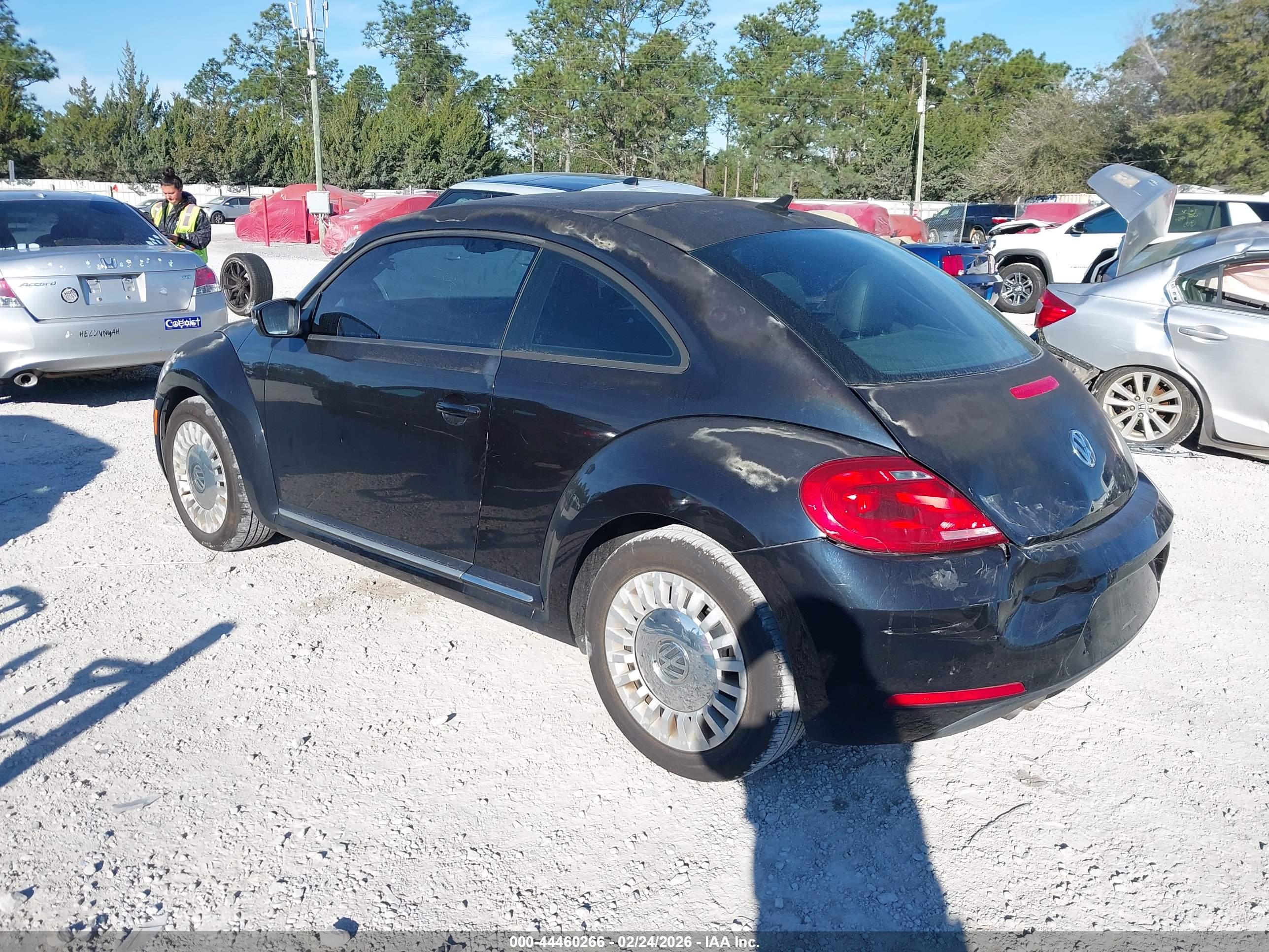 VOLKSWAGEN BEETLE image 3