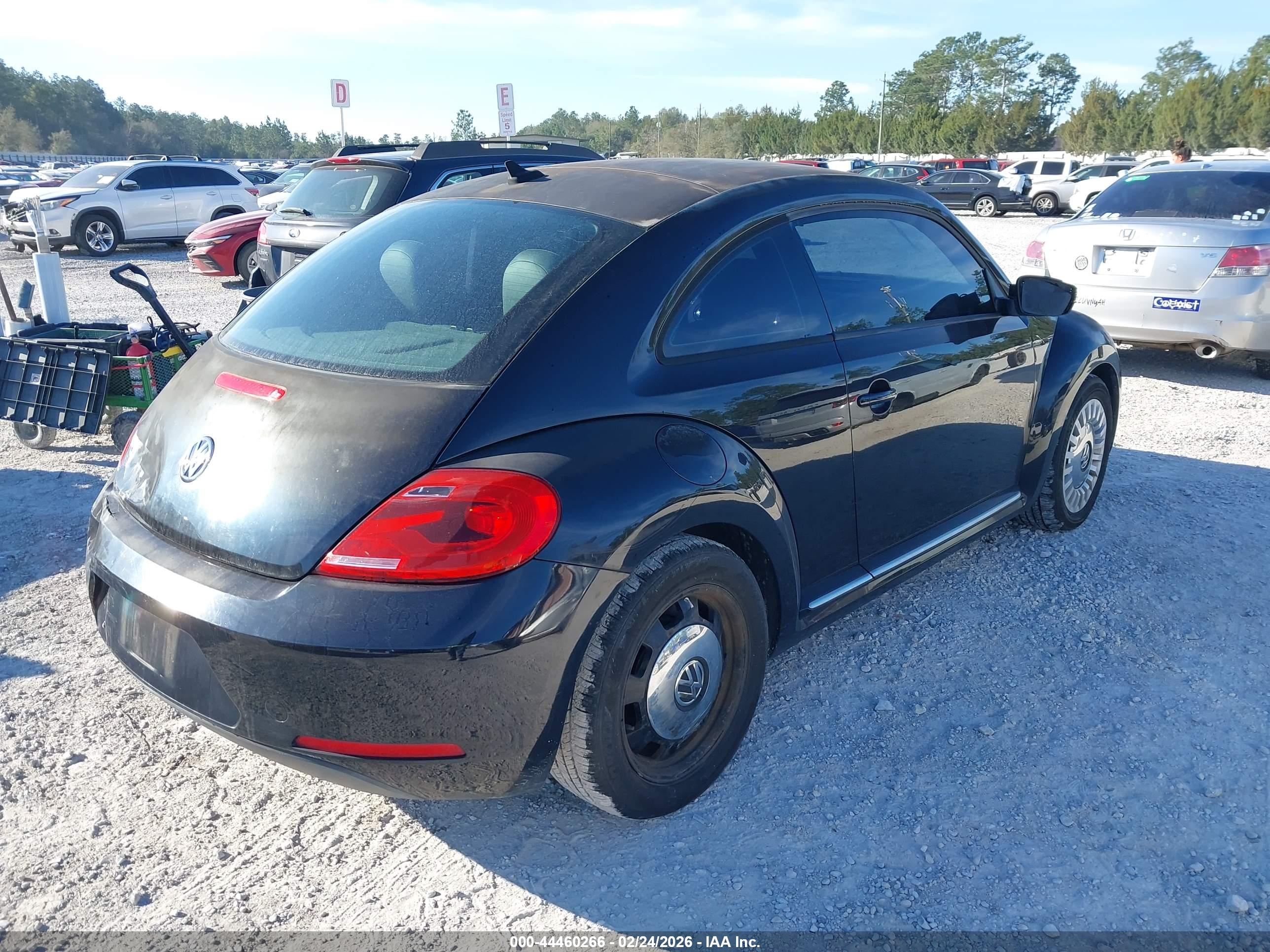 VOLKSWAGEN BEETLE image 4