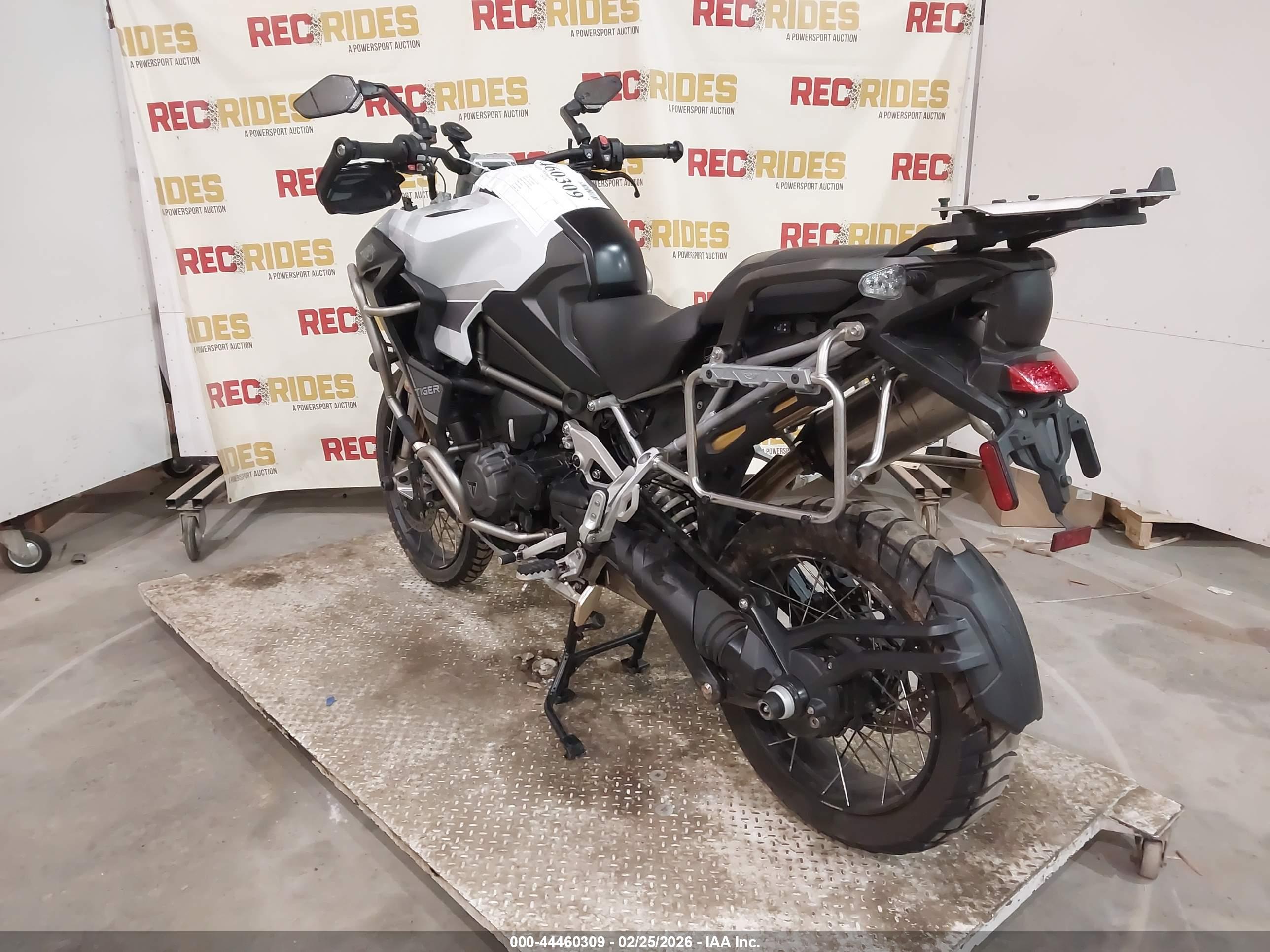 TRIUMPH MOTORCYCLE image 3
