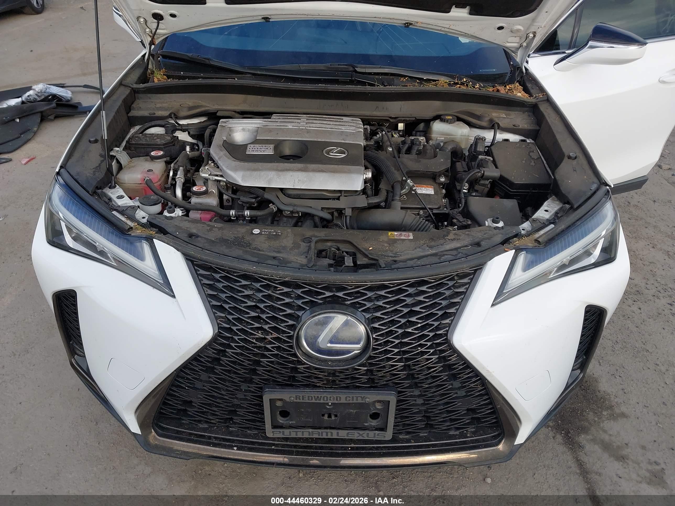 LEXUS UX image 10