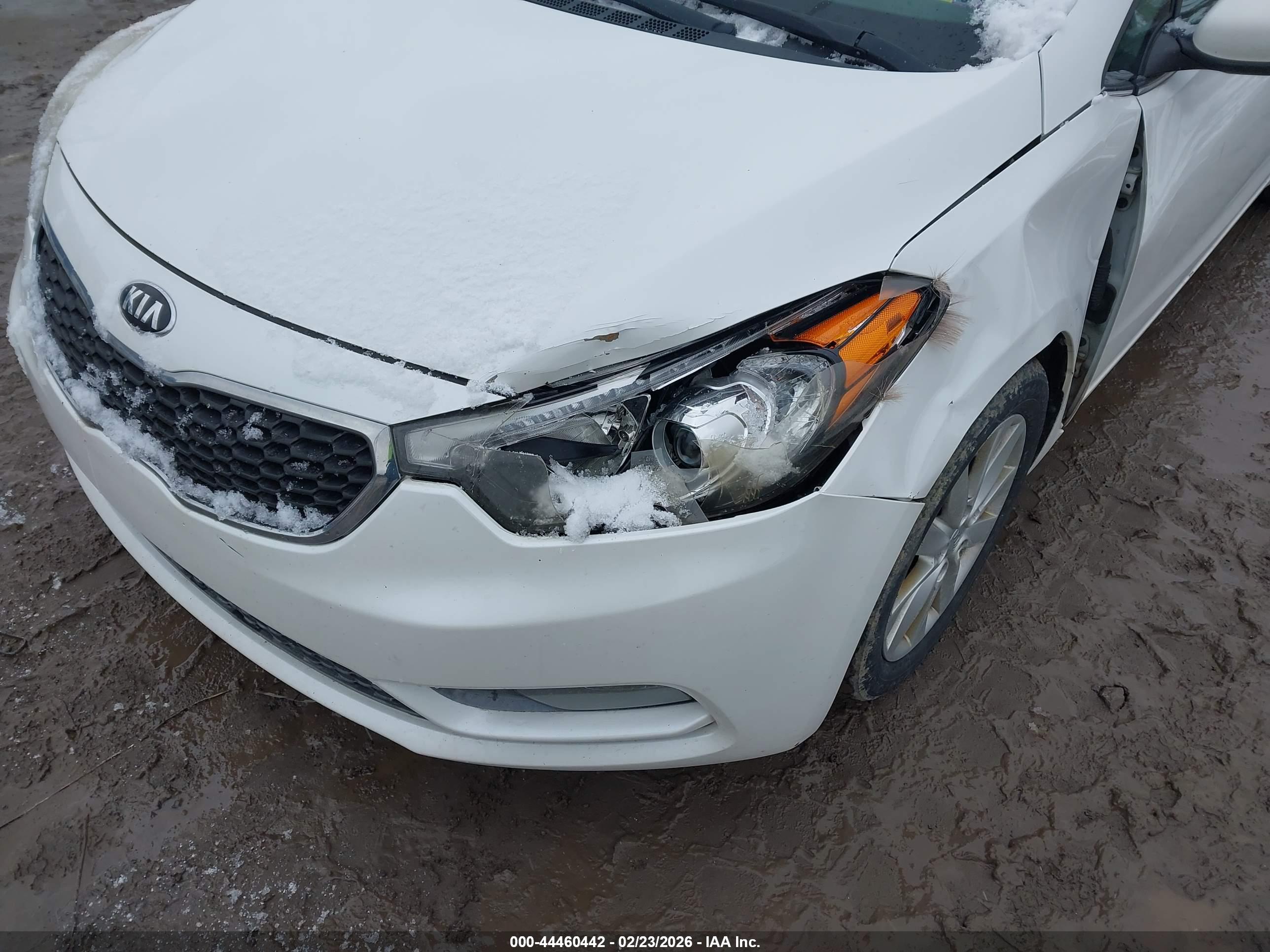 KIA FORTE image 6