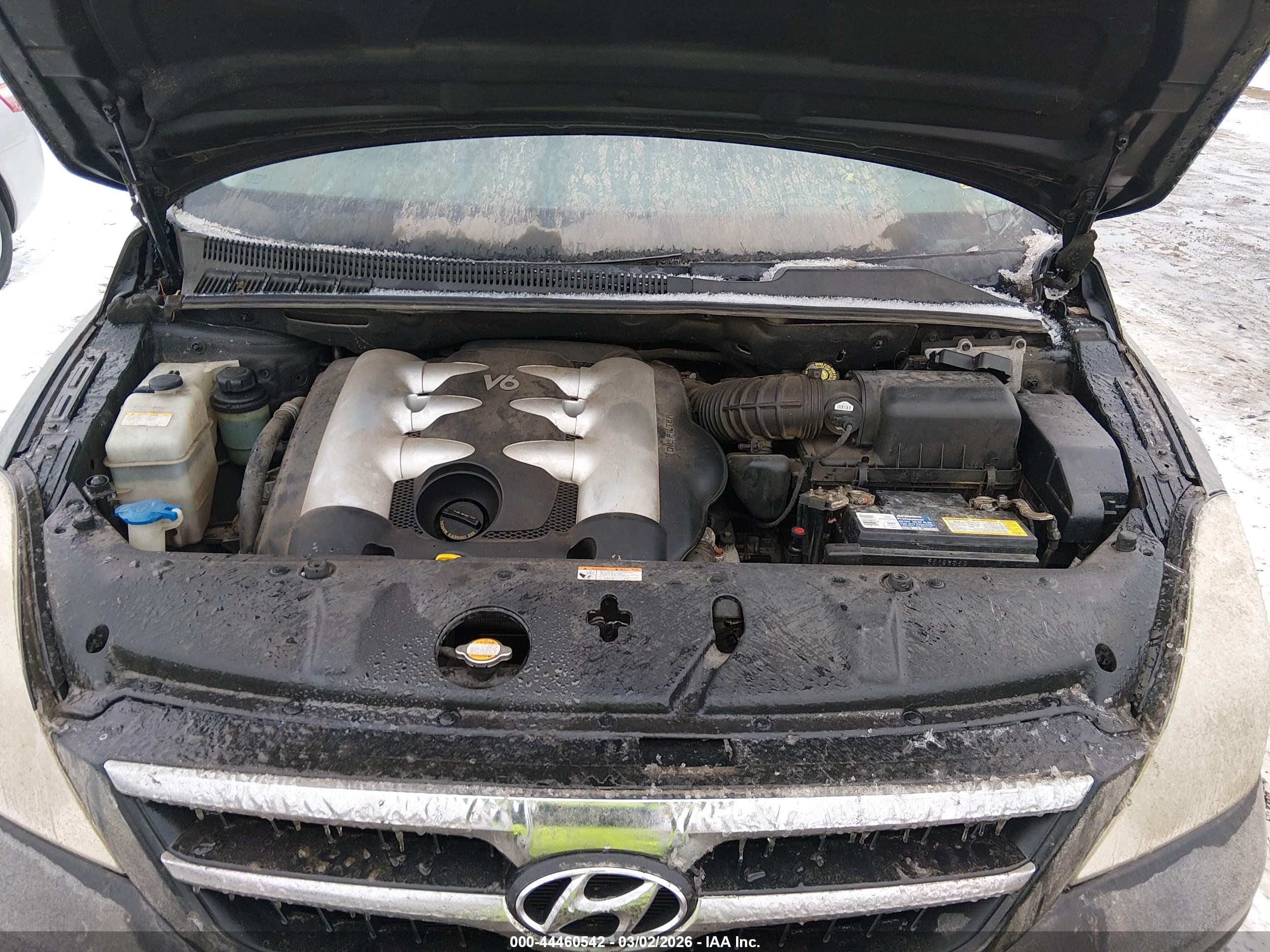 HYUNDAI ENTOURAGE image 10