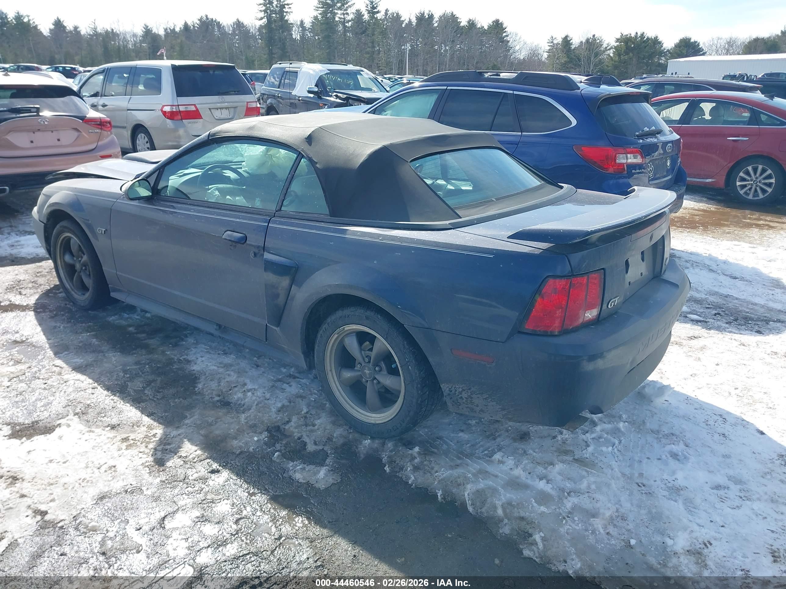 FORD MUSTANG image 3