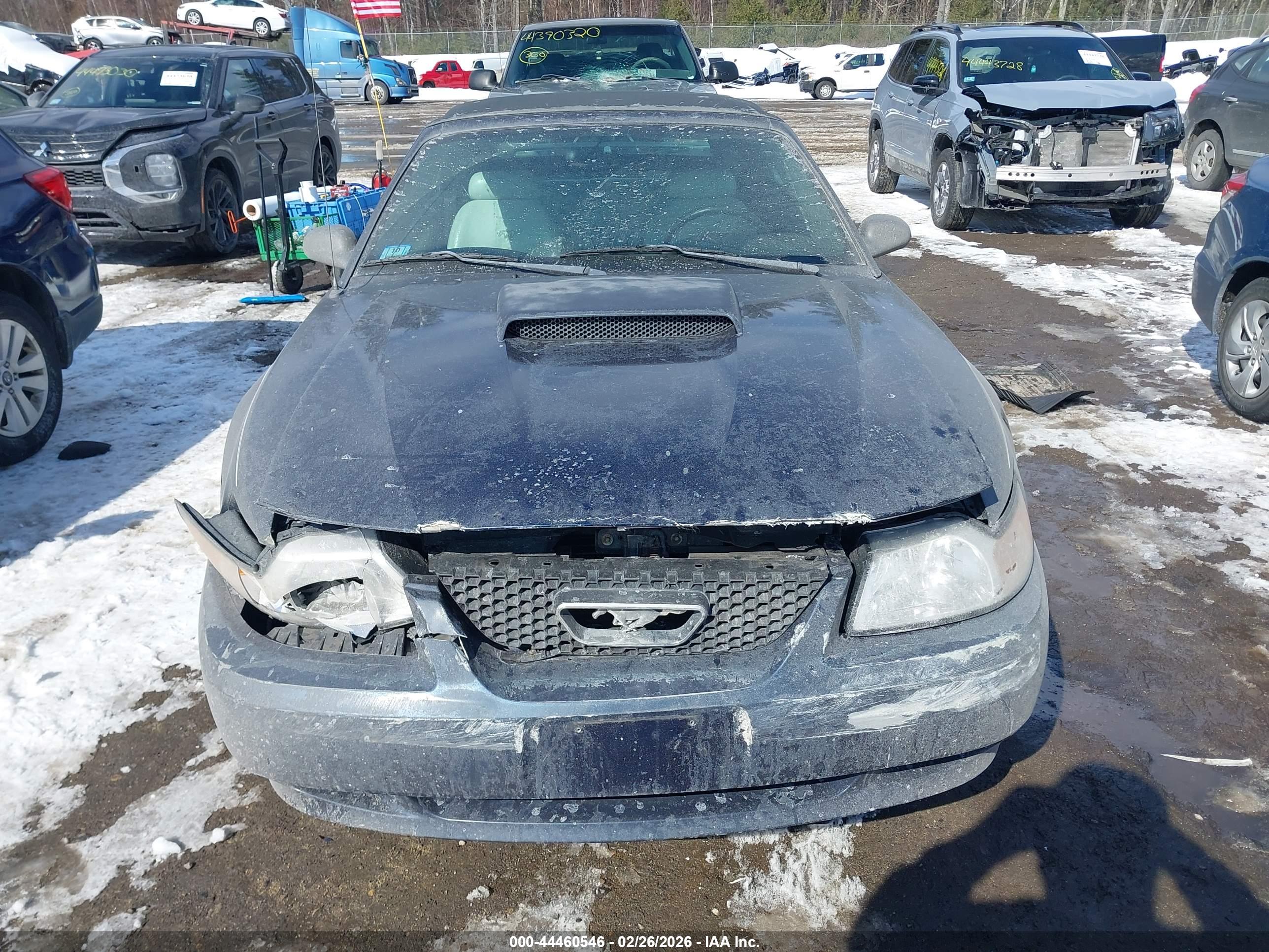 FORD MUSTANG image 6