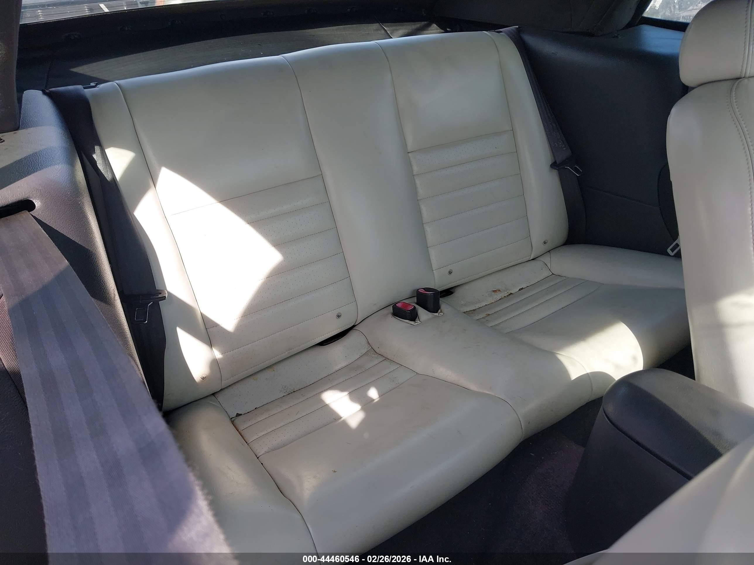 FORD MUSTANG image 8