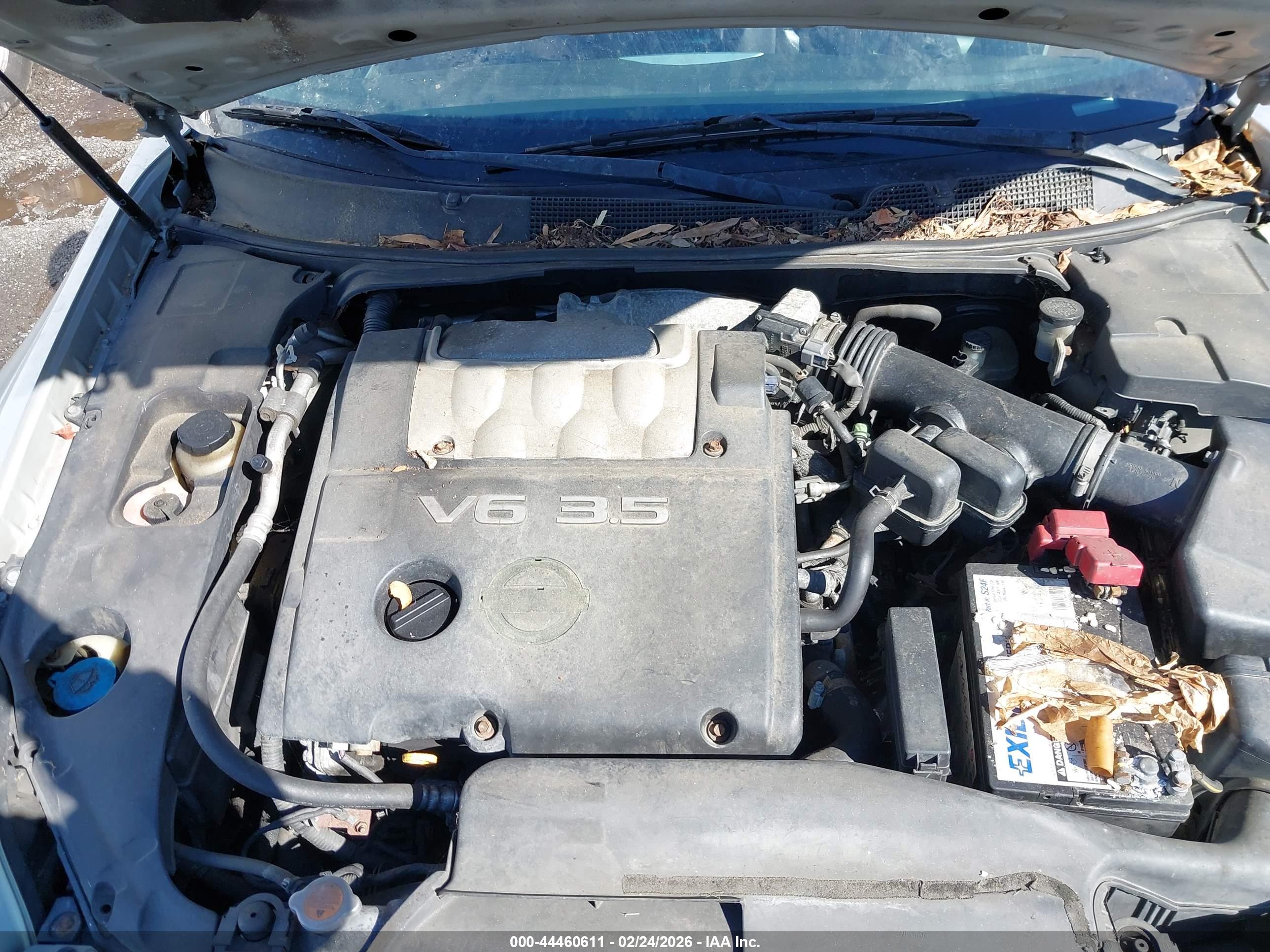 NISSAN MAXIMA image 10