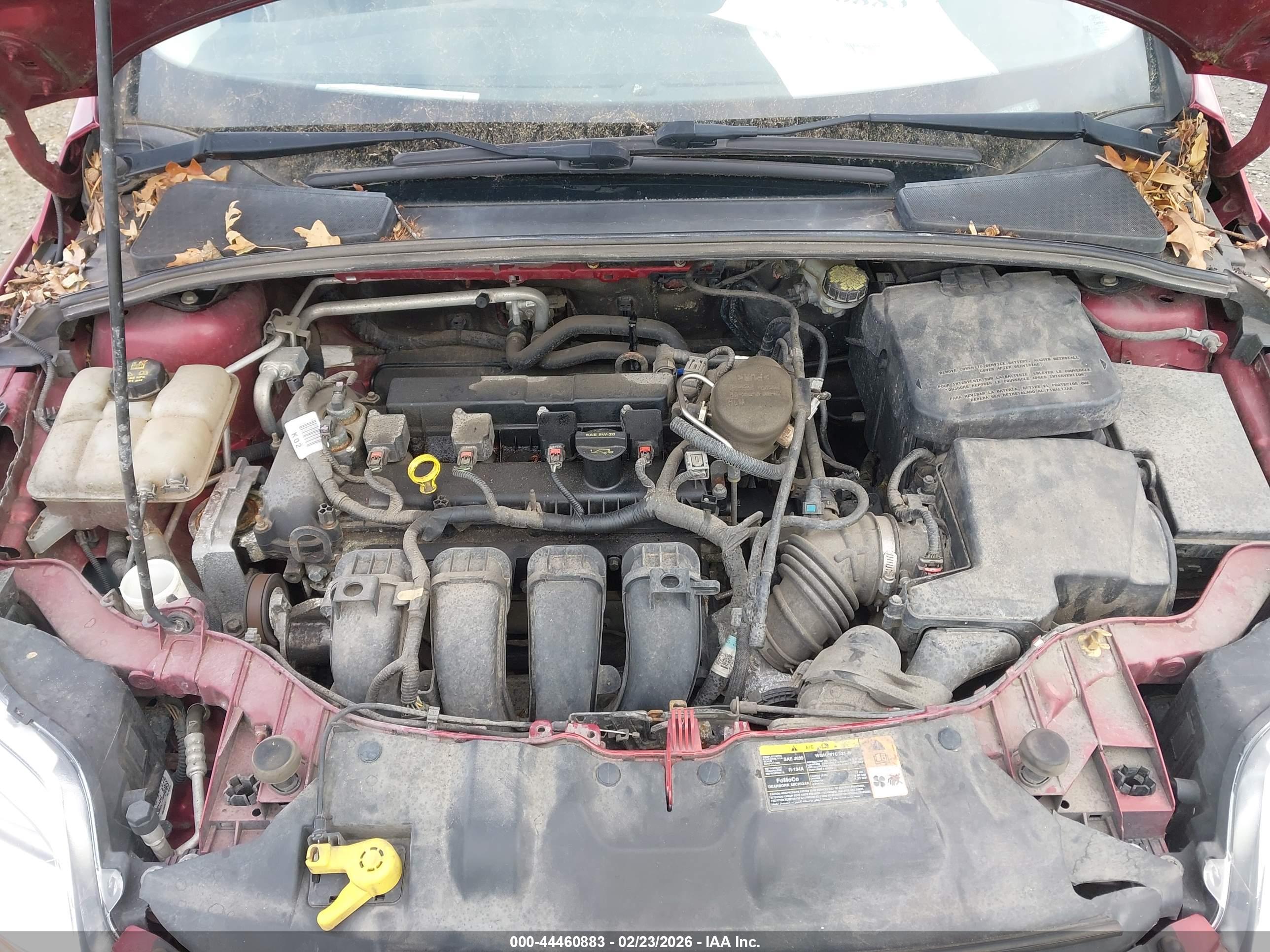 FORD FOCUS image 10