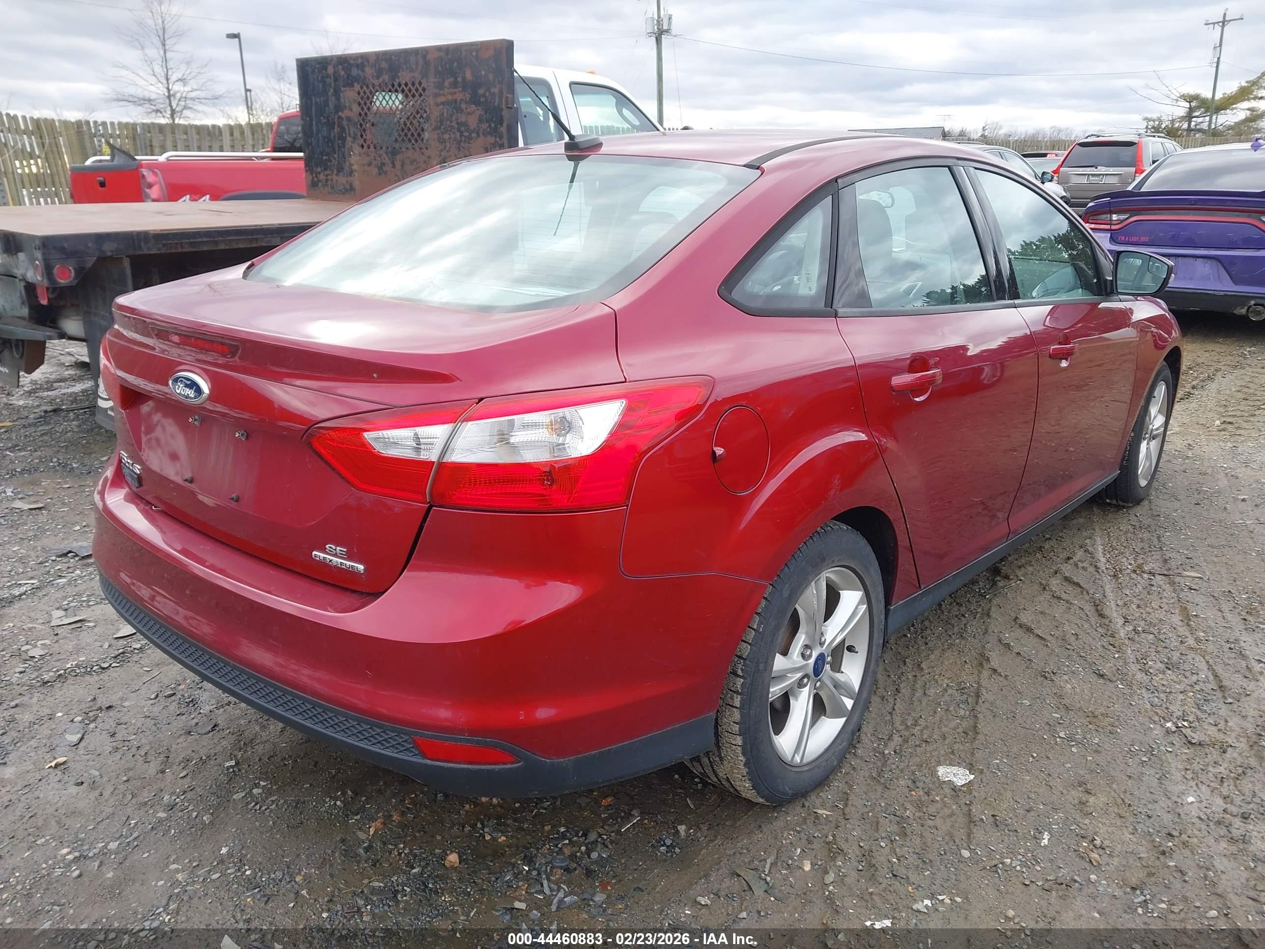 FORD FOCUS image 4